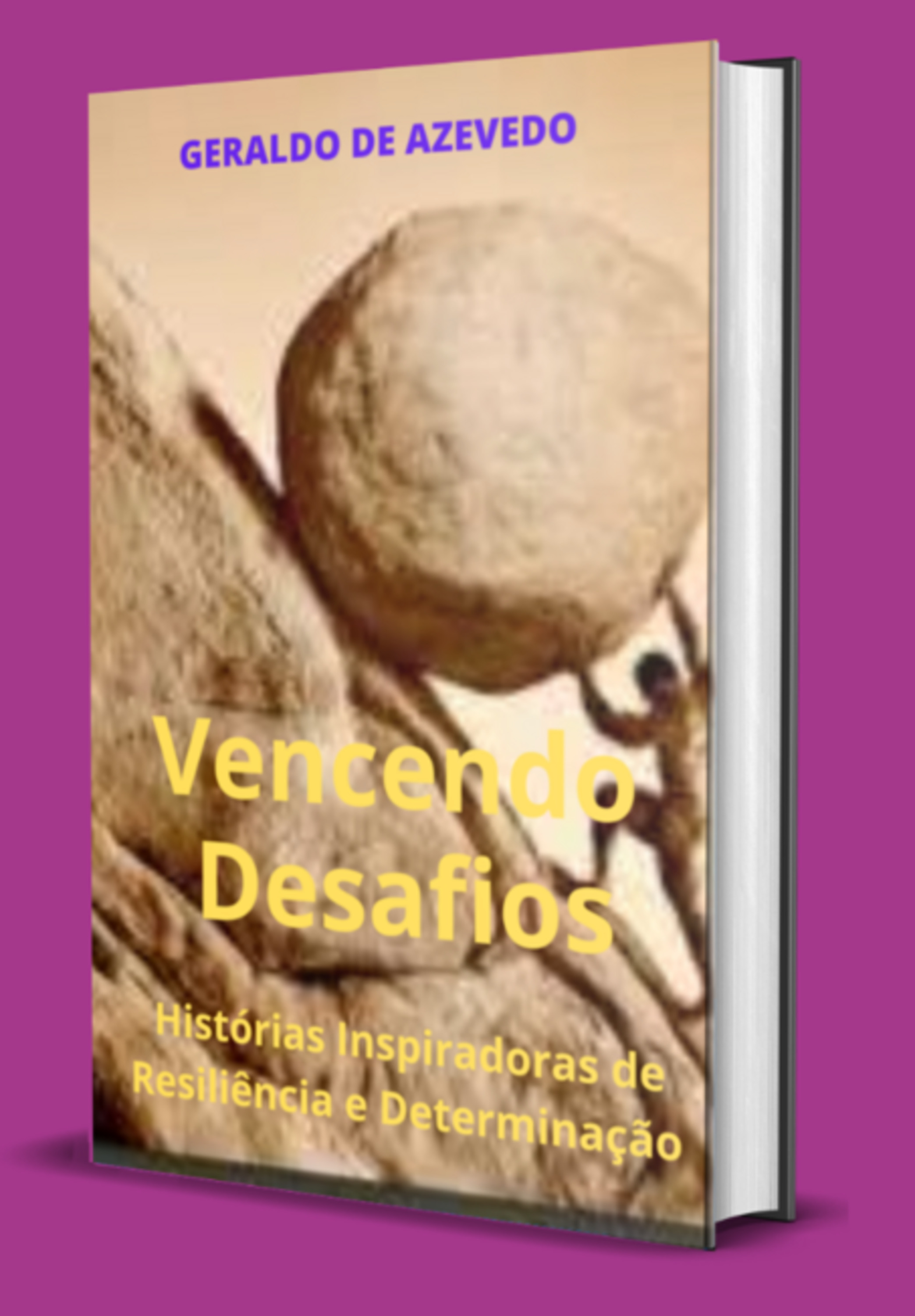 Vencendo Desafios