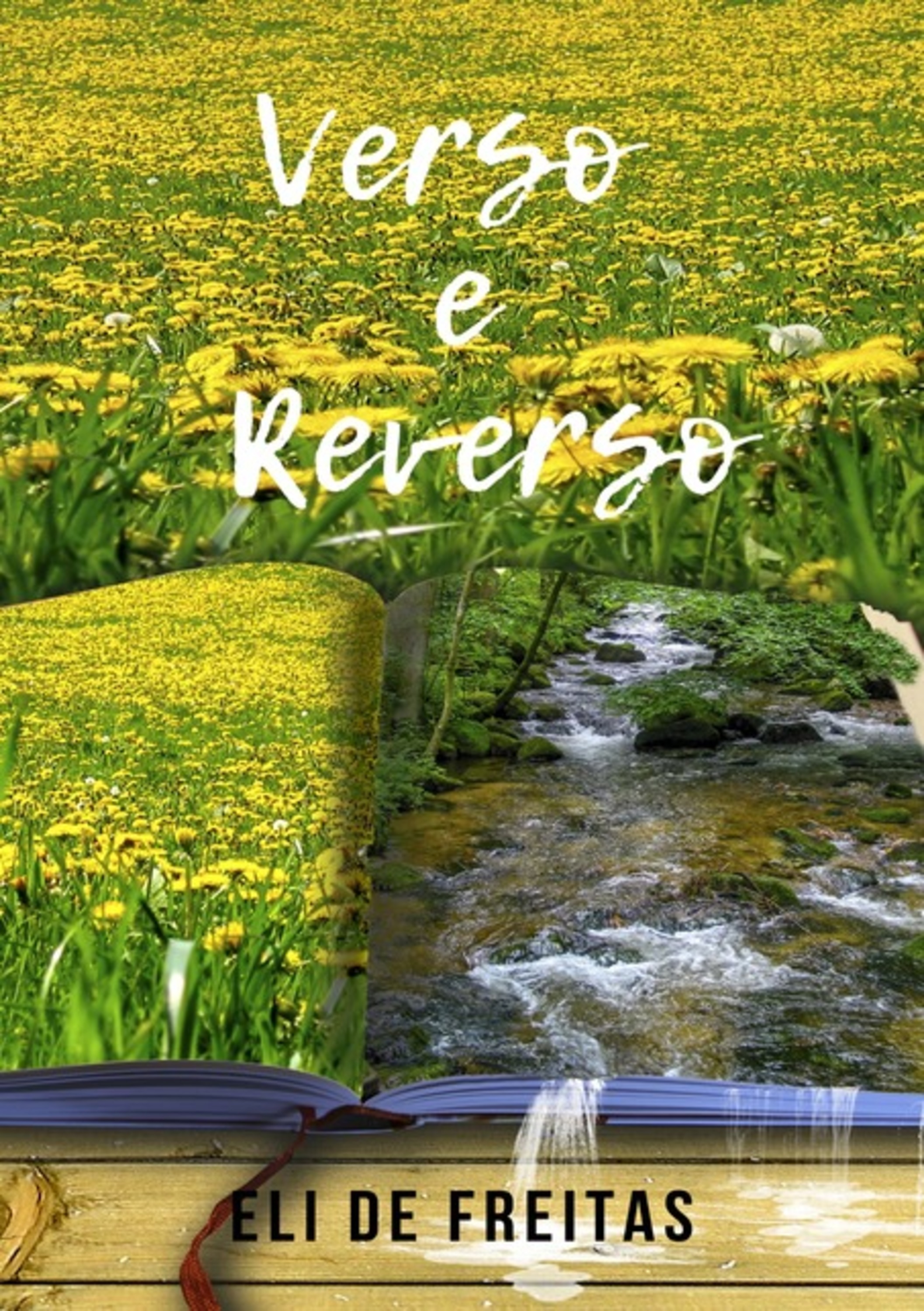 Verso E Reverso