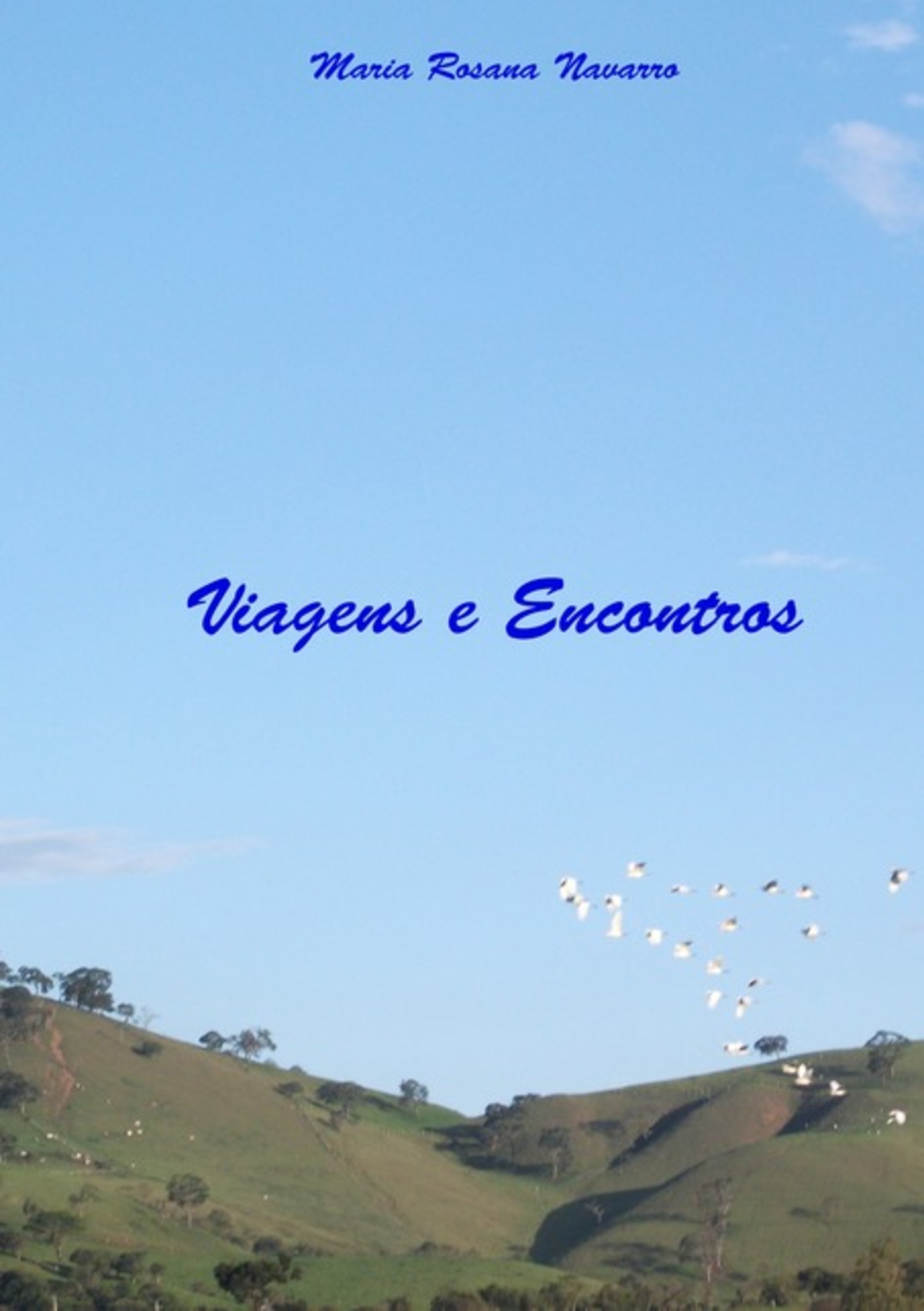 Viagens E Encontros