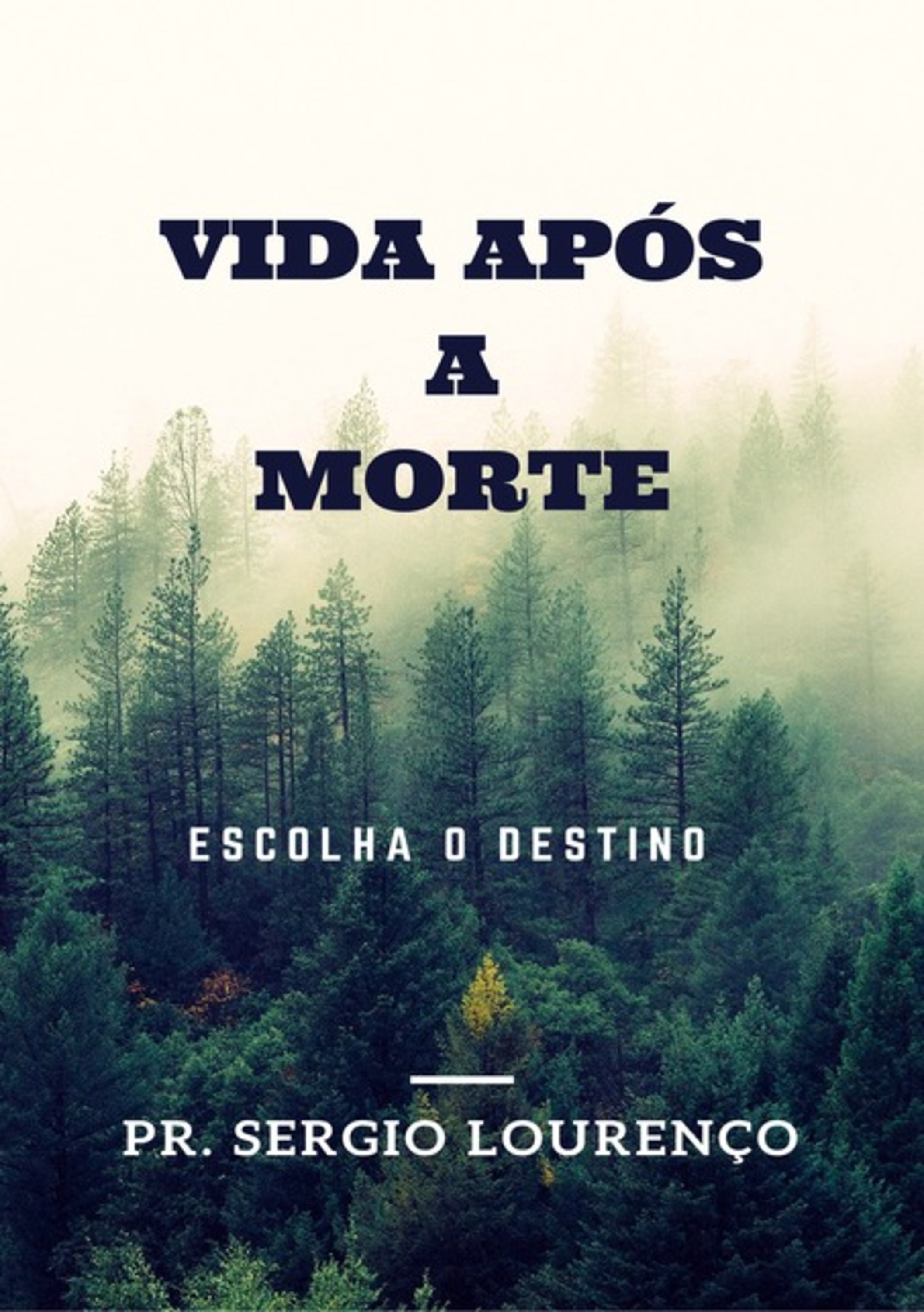 Vida Após A Morte