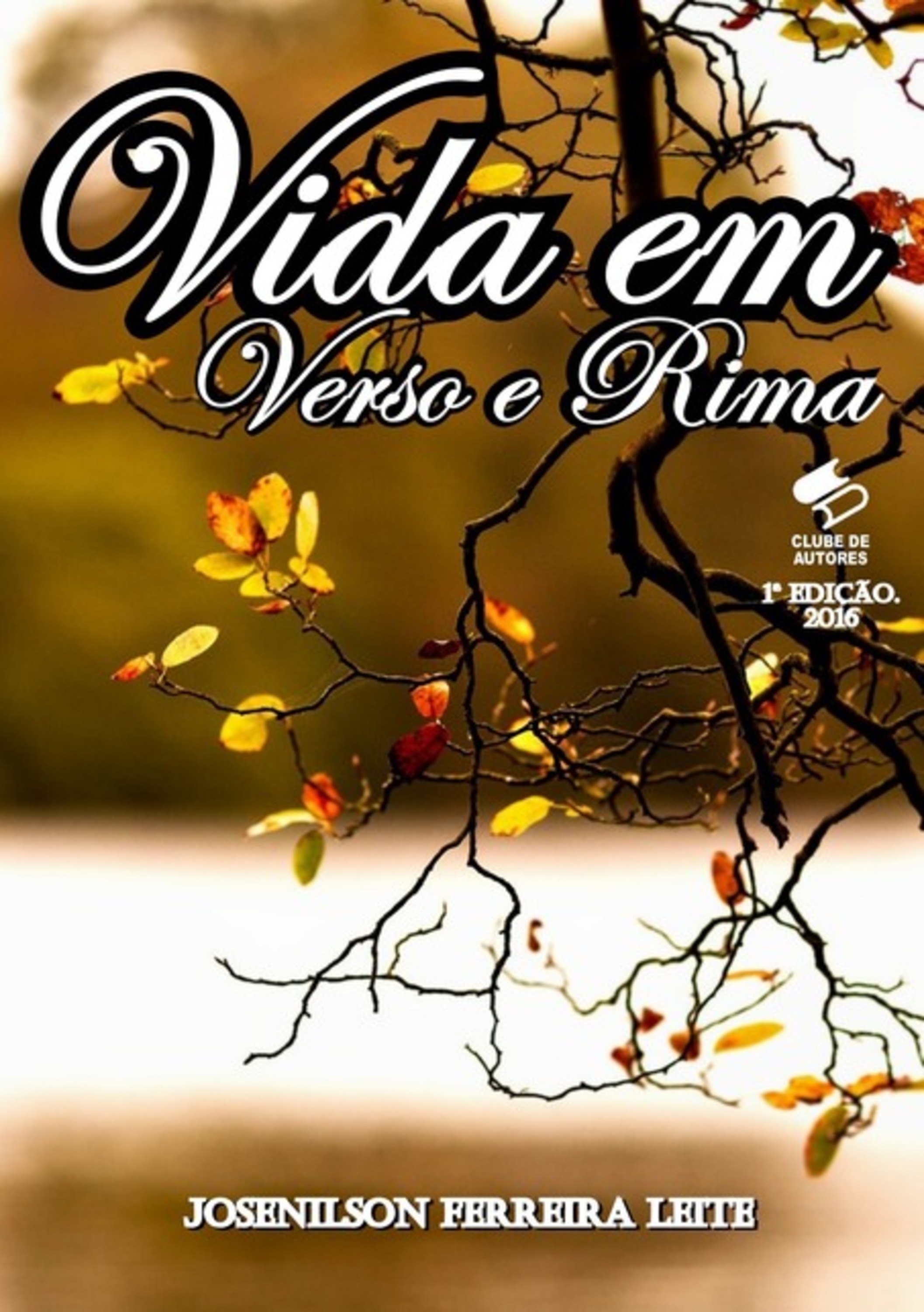 Vida Em Verso E Rima