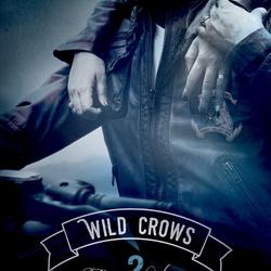 Wild Crows - 2. Révélation