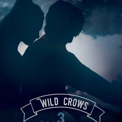 Wild Crows - 3. Confession