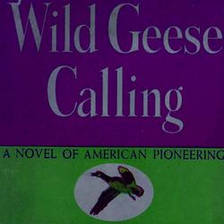 Wild Geese Calling