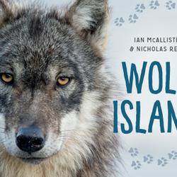 Wolf Island