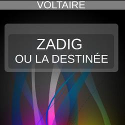 Zadig ou la Destinée