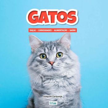 Conheça as principais curiosidades sobre os gatos!