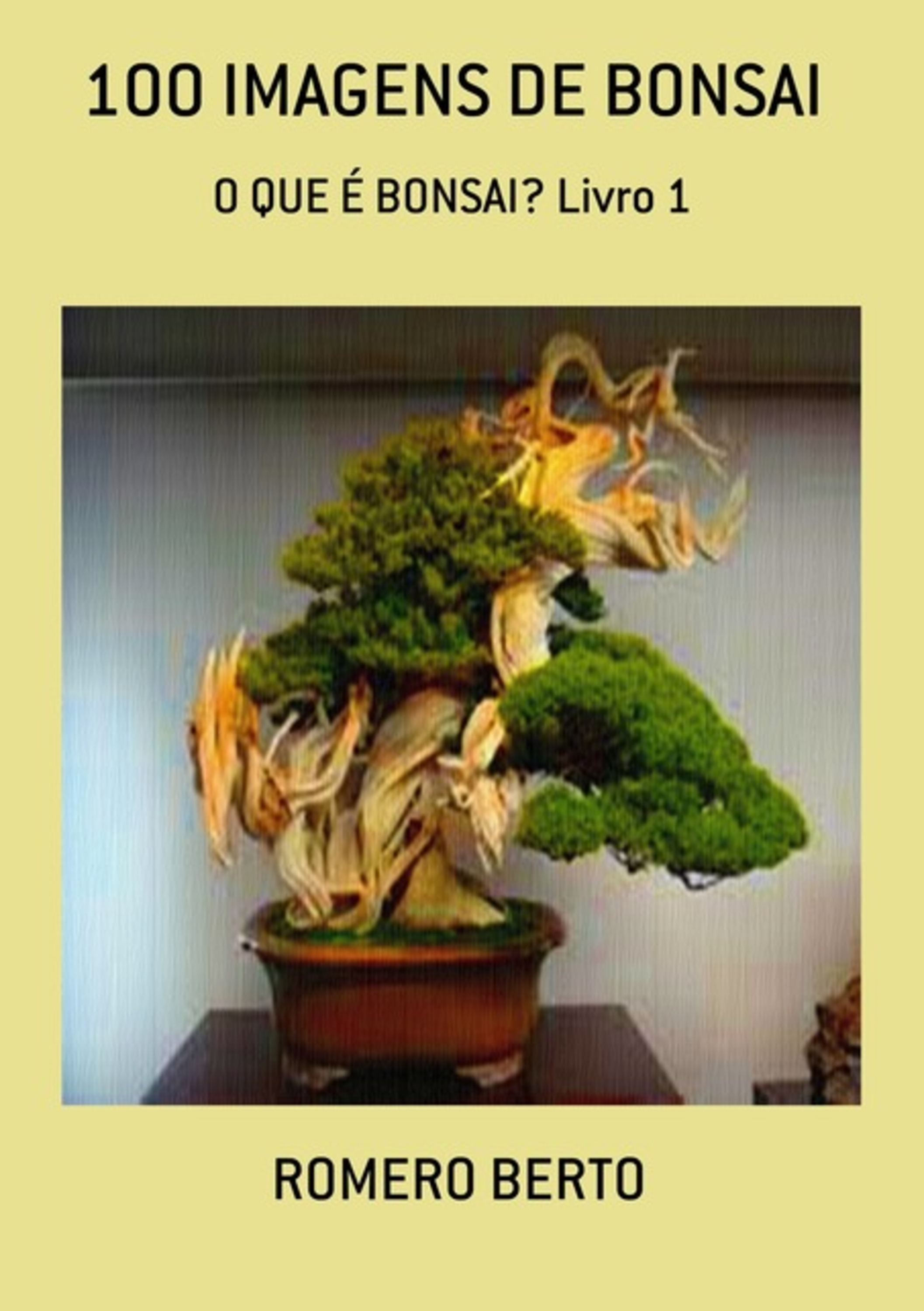 100 Imagens De Bonsai