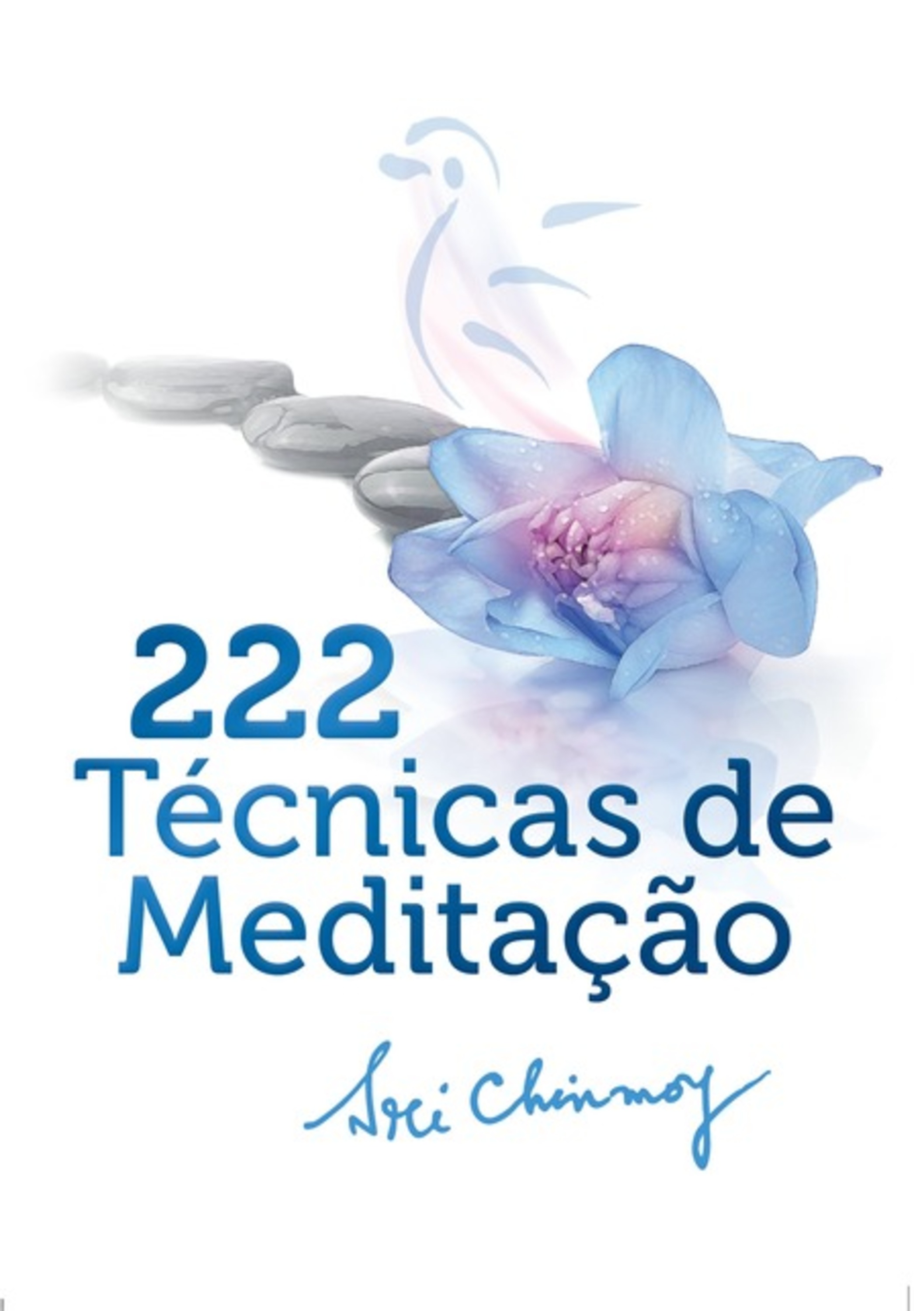 222 Técnicas De Meditação