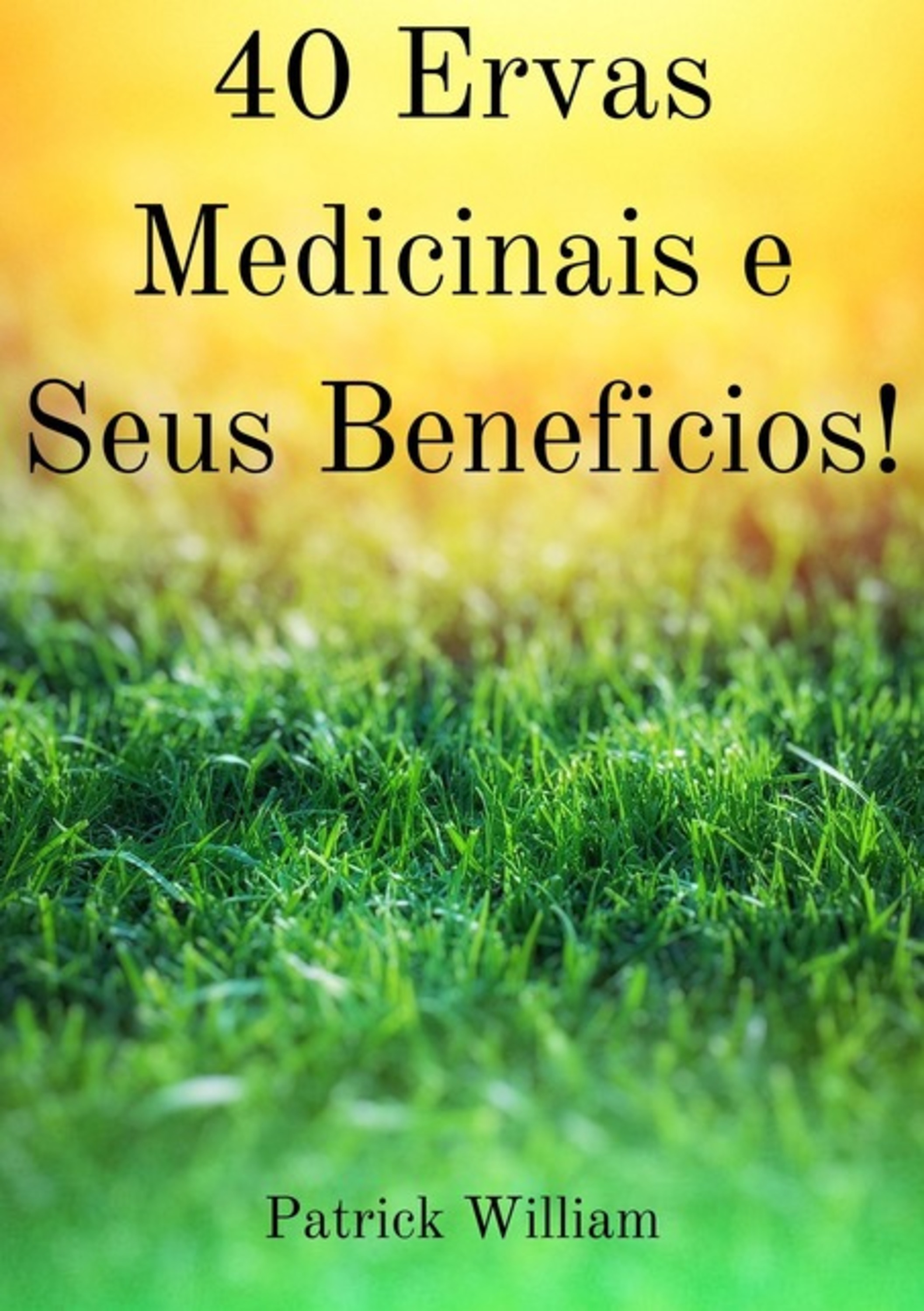 4o Ervas Medicinais E Seus Beneficios