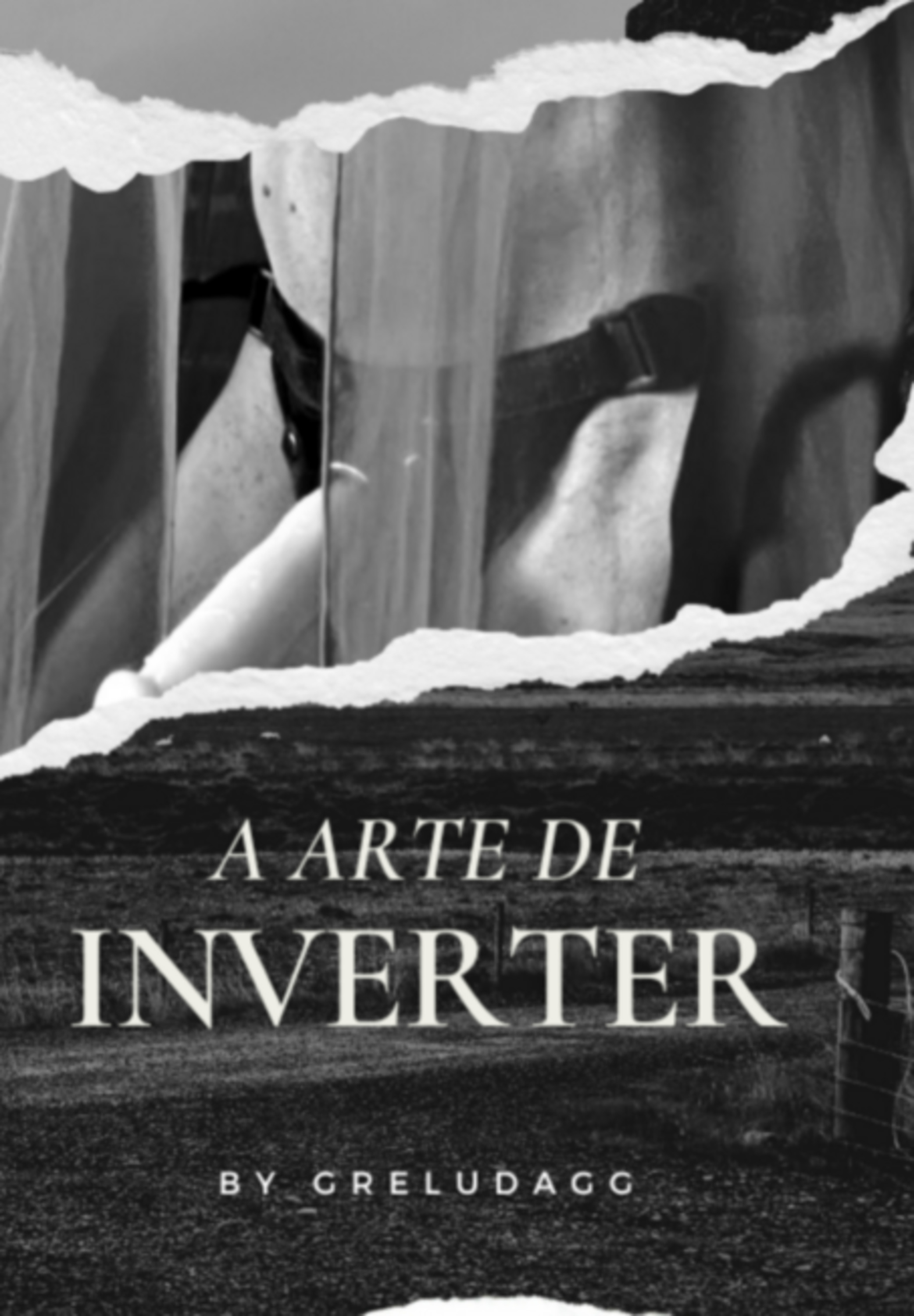 A Arte De Inverter