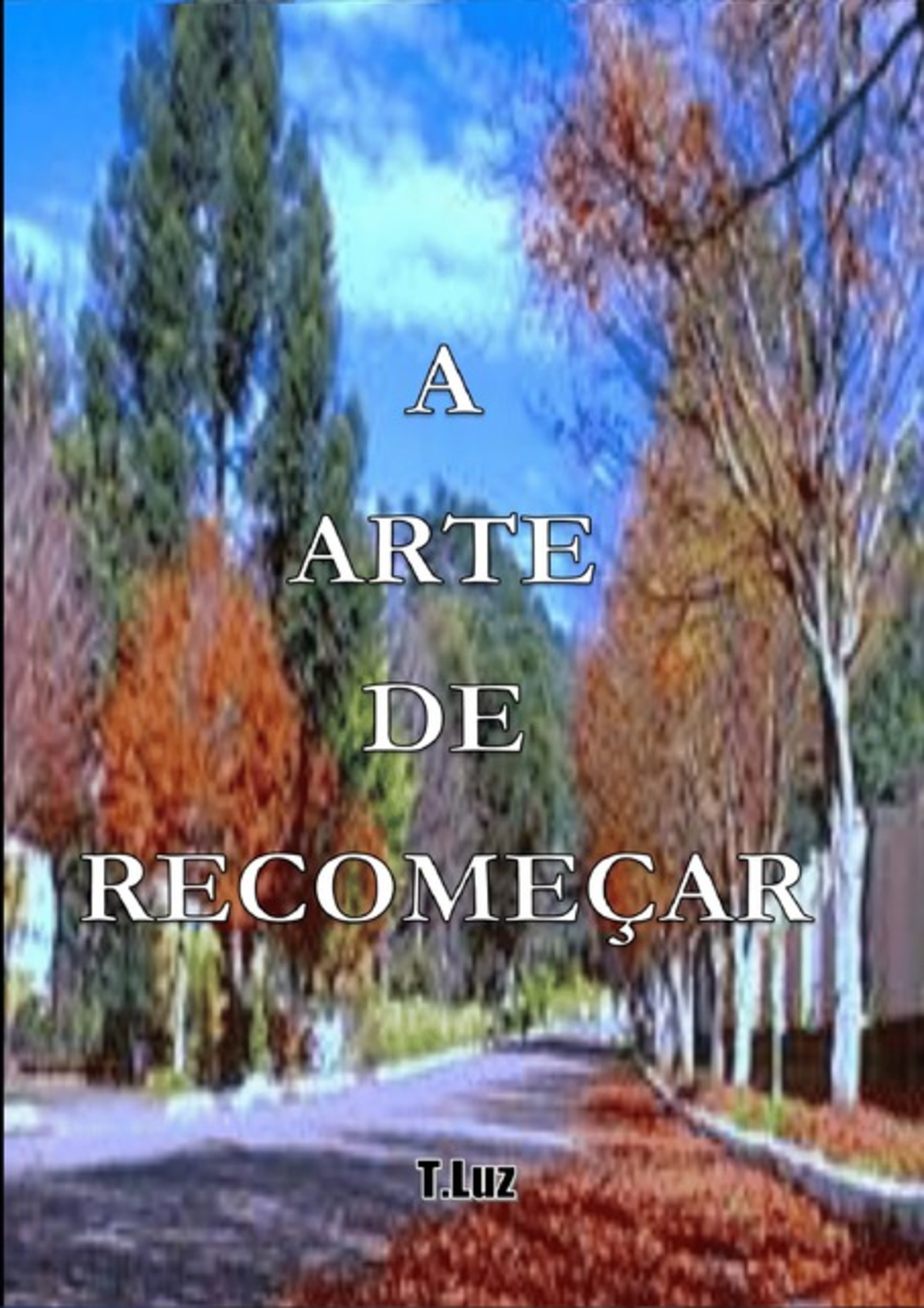 A Arte De Recomeçar