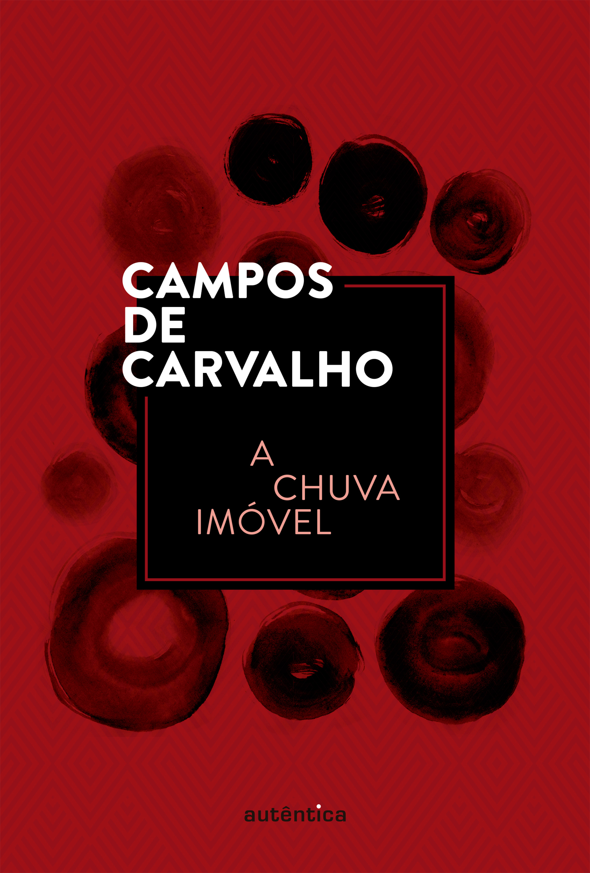 A chuva imóvel