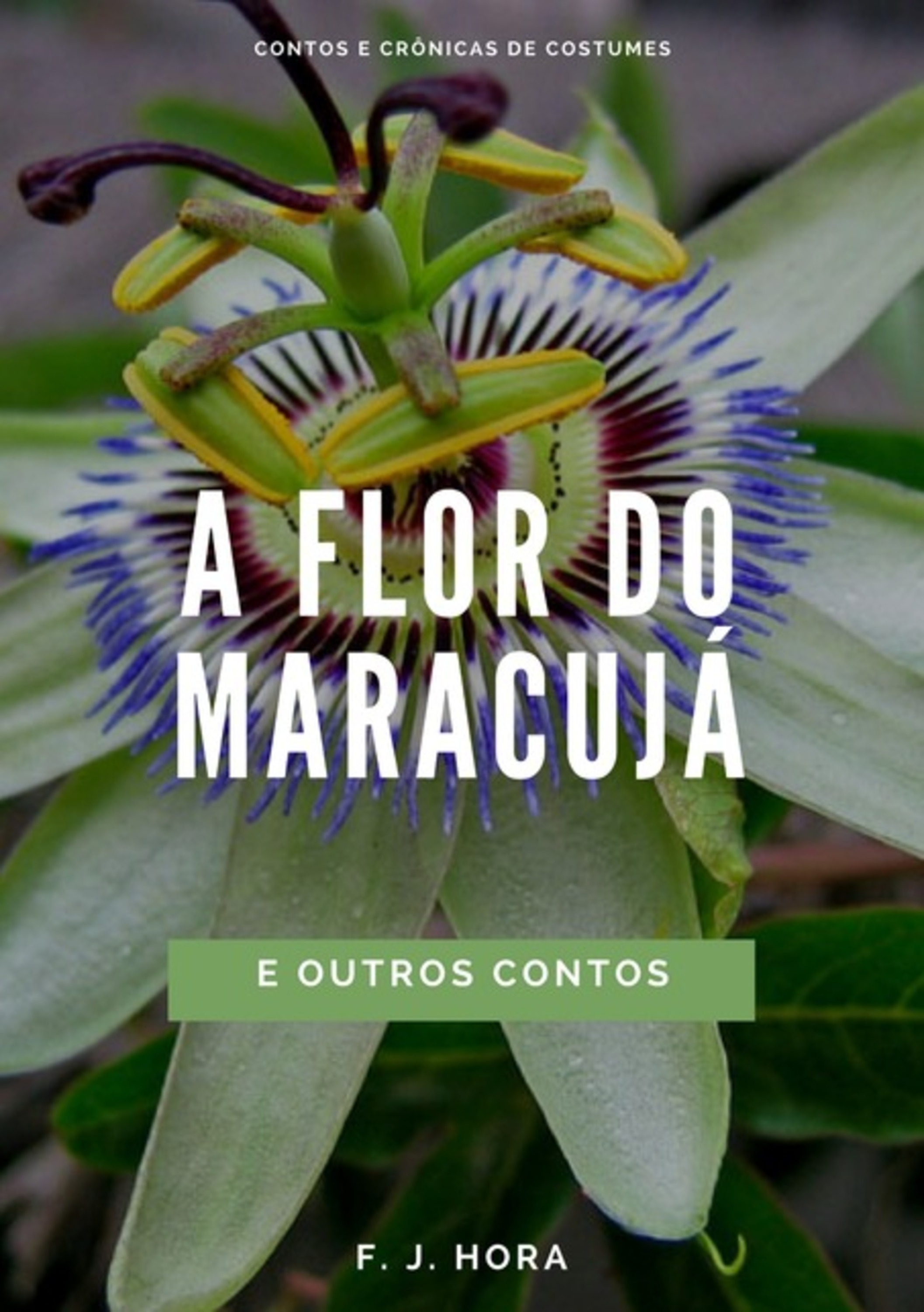 A Flor Do Maracujá