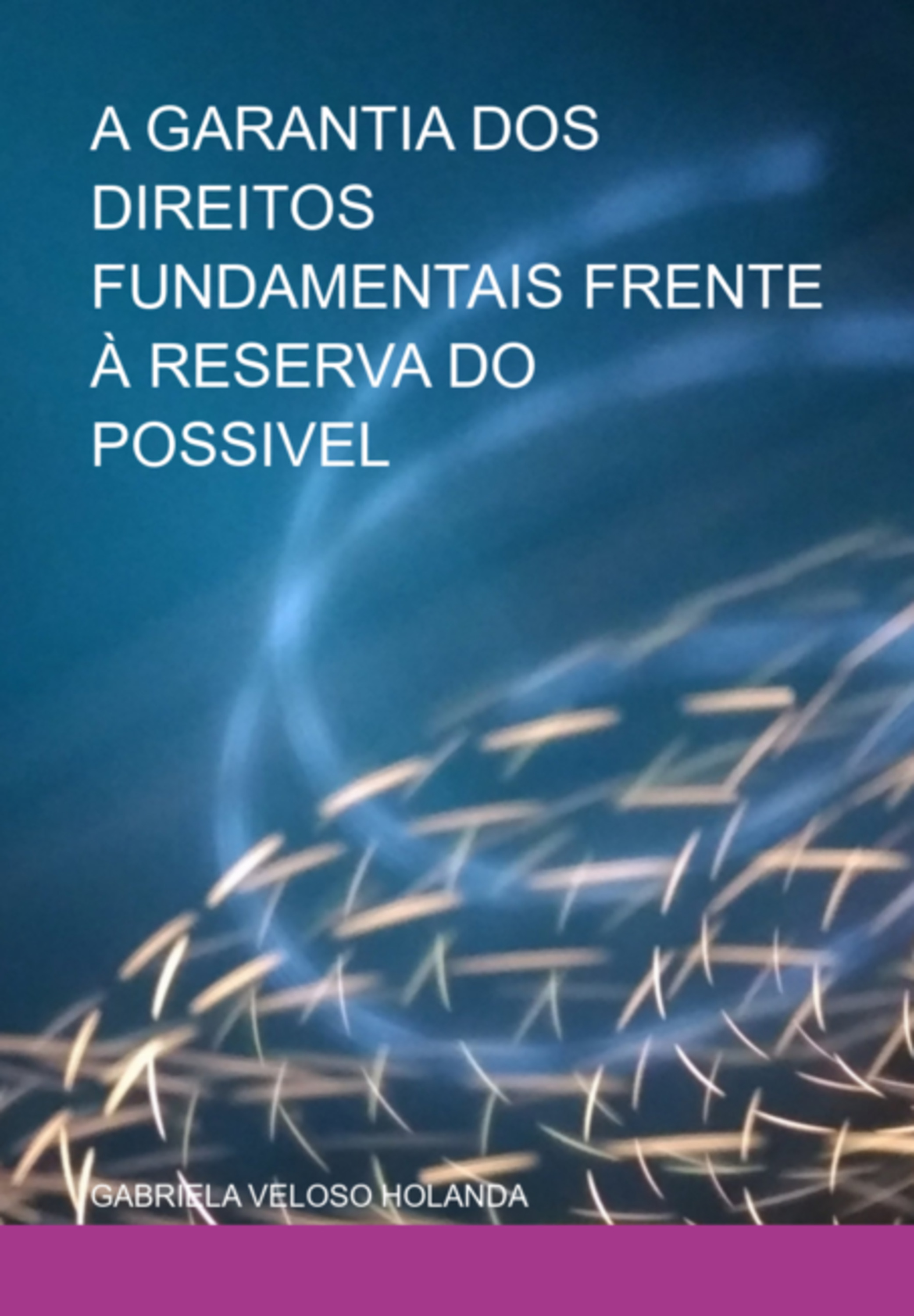 A Garantia Dos Direitos Fundamentais Frente À Reserva Do Possivel