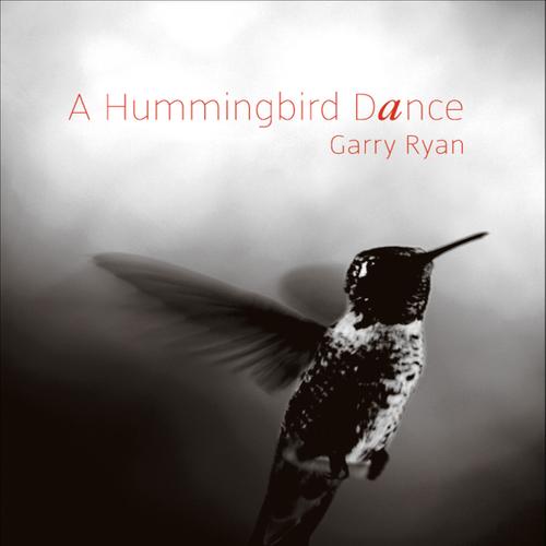 A Hummingbird Dance