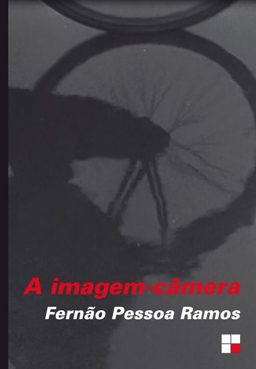 A Imagem-câmera