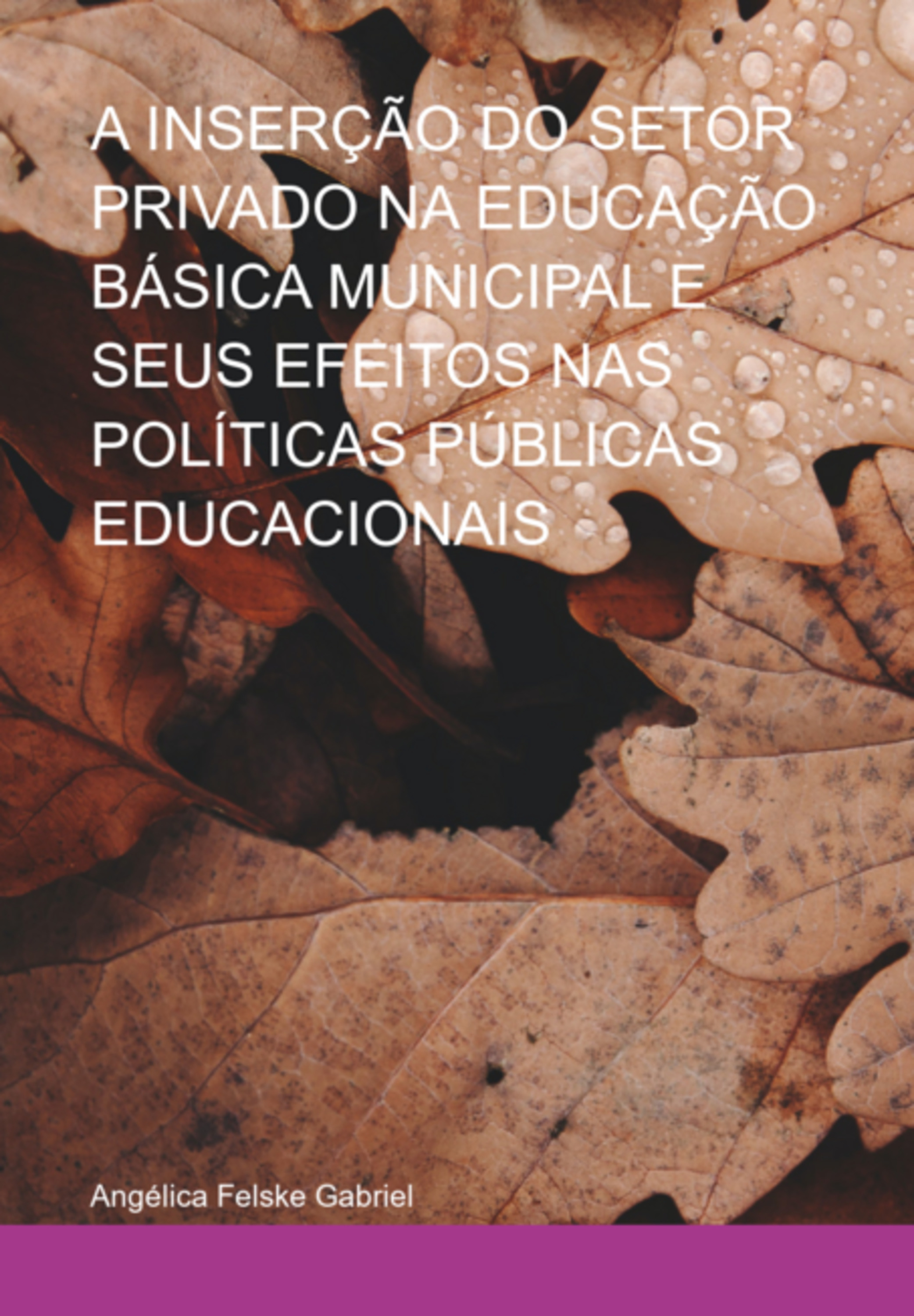 A Inserção Do Setor Privado Na Educação Básica Municipal E Seus Efeitos Nas Políticas Públicas Educacionais