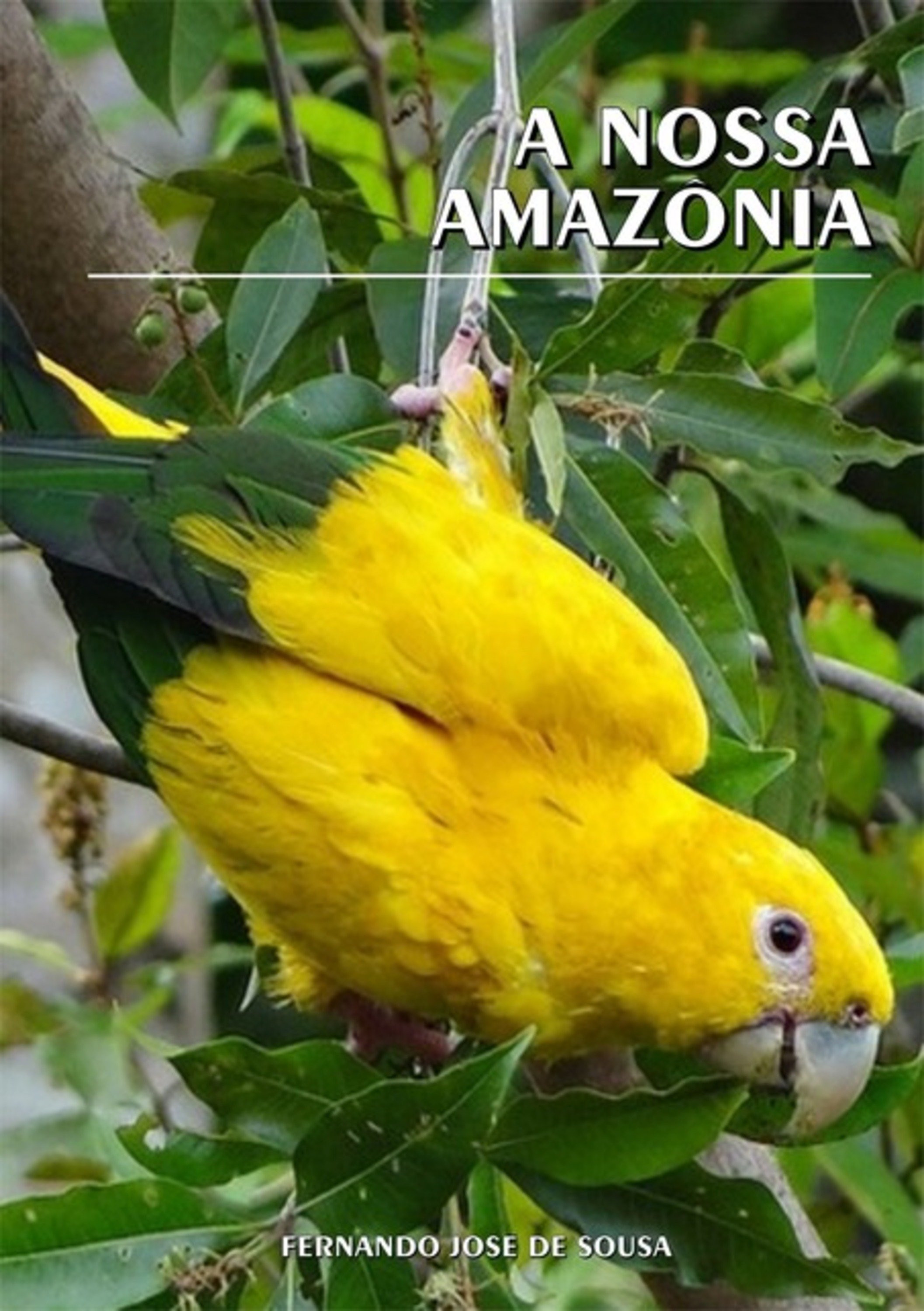 A Nossa Amazônia