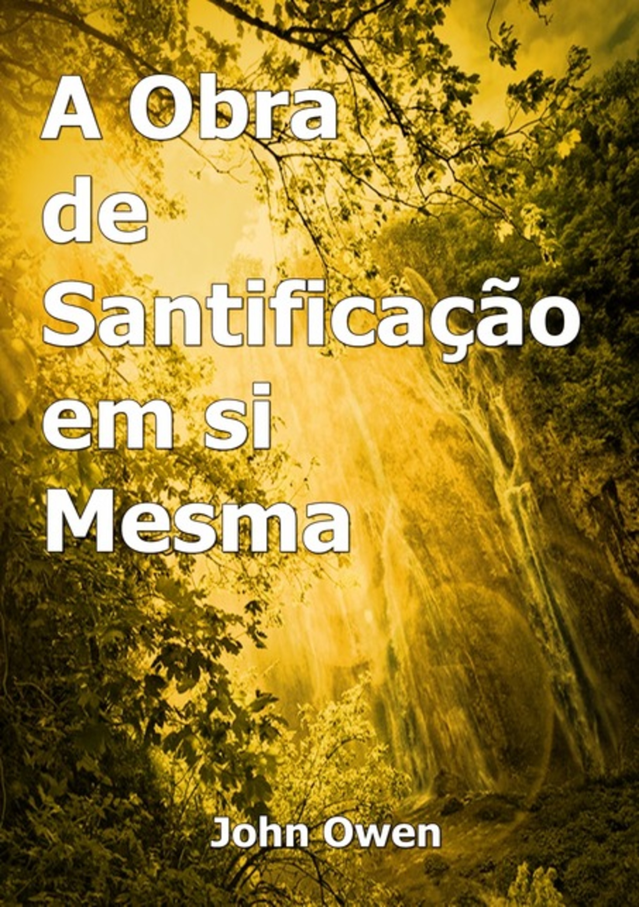 A Obra De Santificação Em Si Mesma