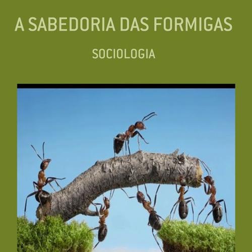 A SABEDORIA DAS FORMIGAS