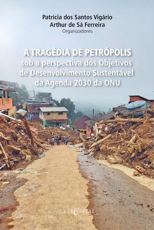 A tragédia de Petrópolis sob a perspectiva dos Objetivos de Desenvolvimento Sustentável da Agenda 2030 da ONU