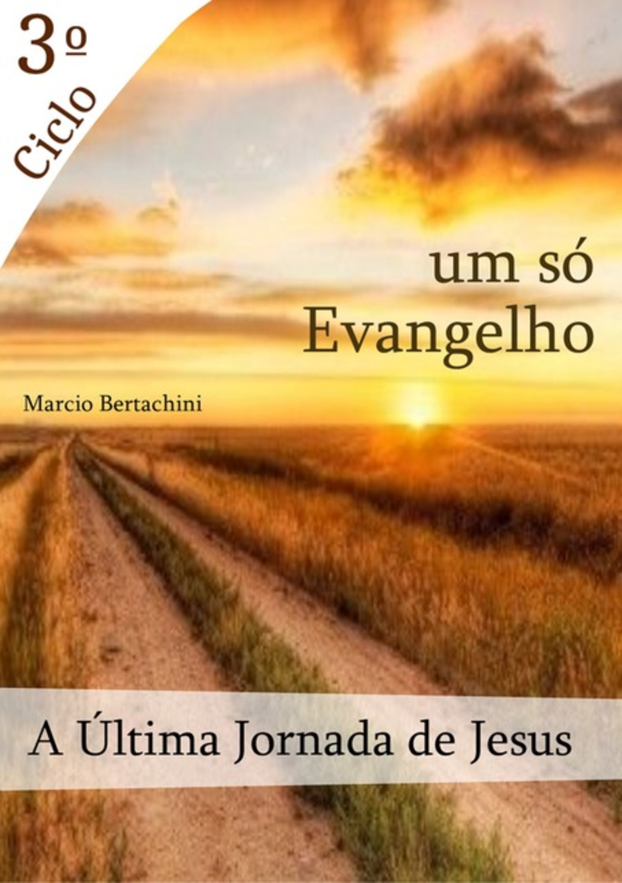 A Última Jornada De Jesus - 3º Ciclo