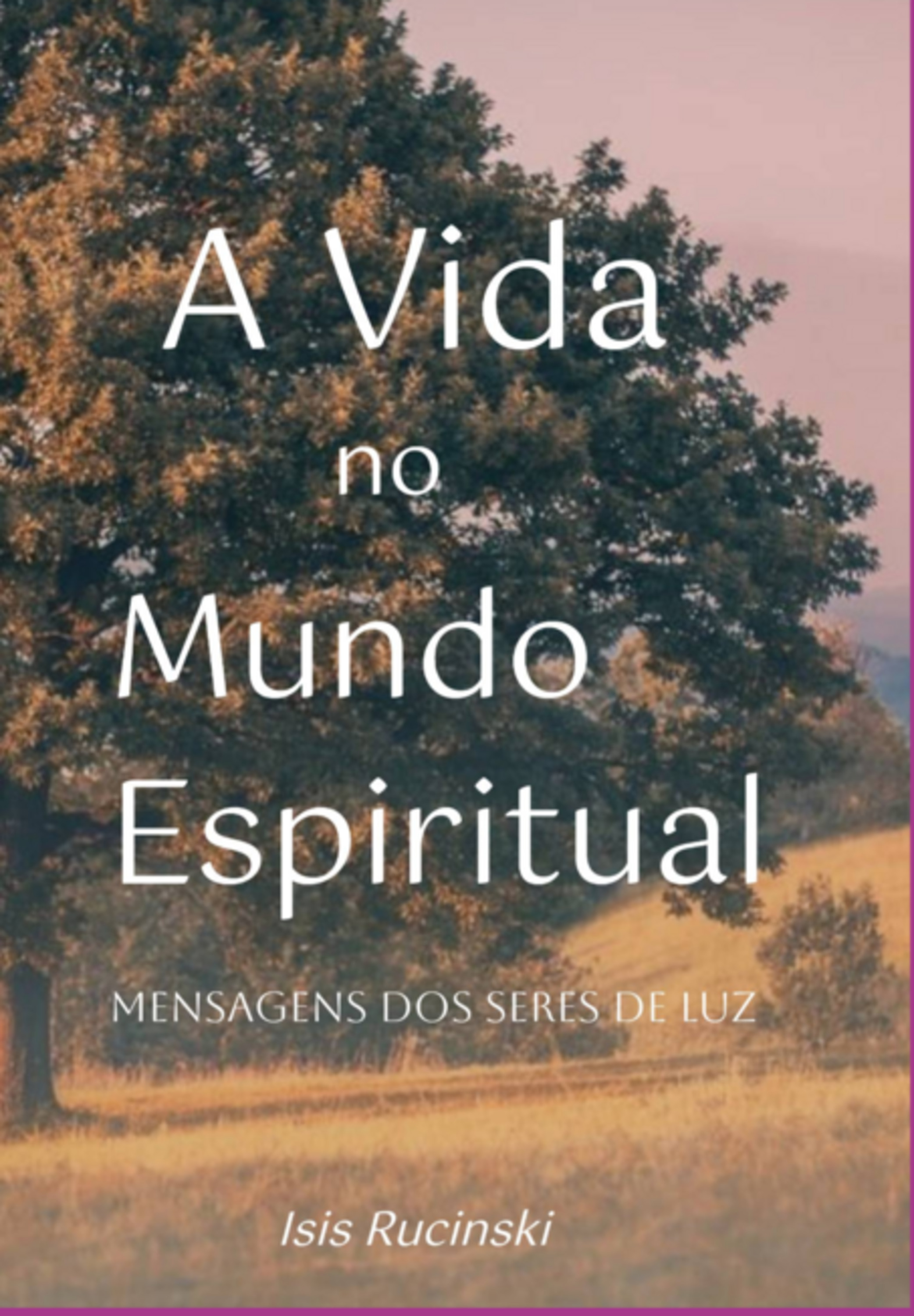 A Vida No Mundo Espiritual