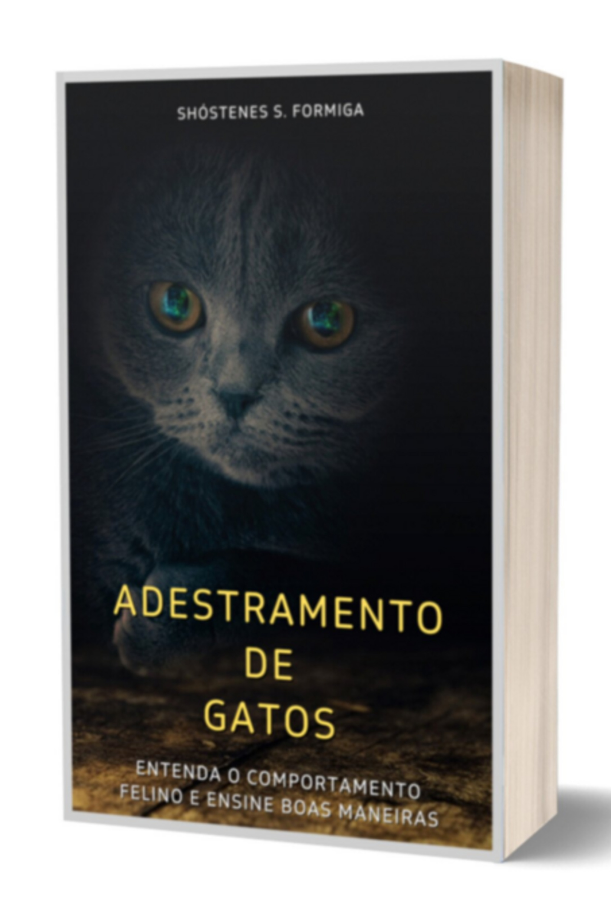 Adestramento De Gatos