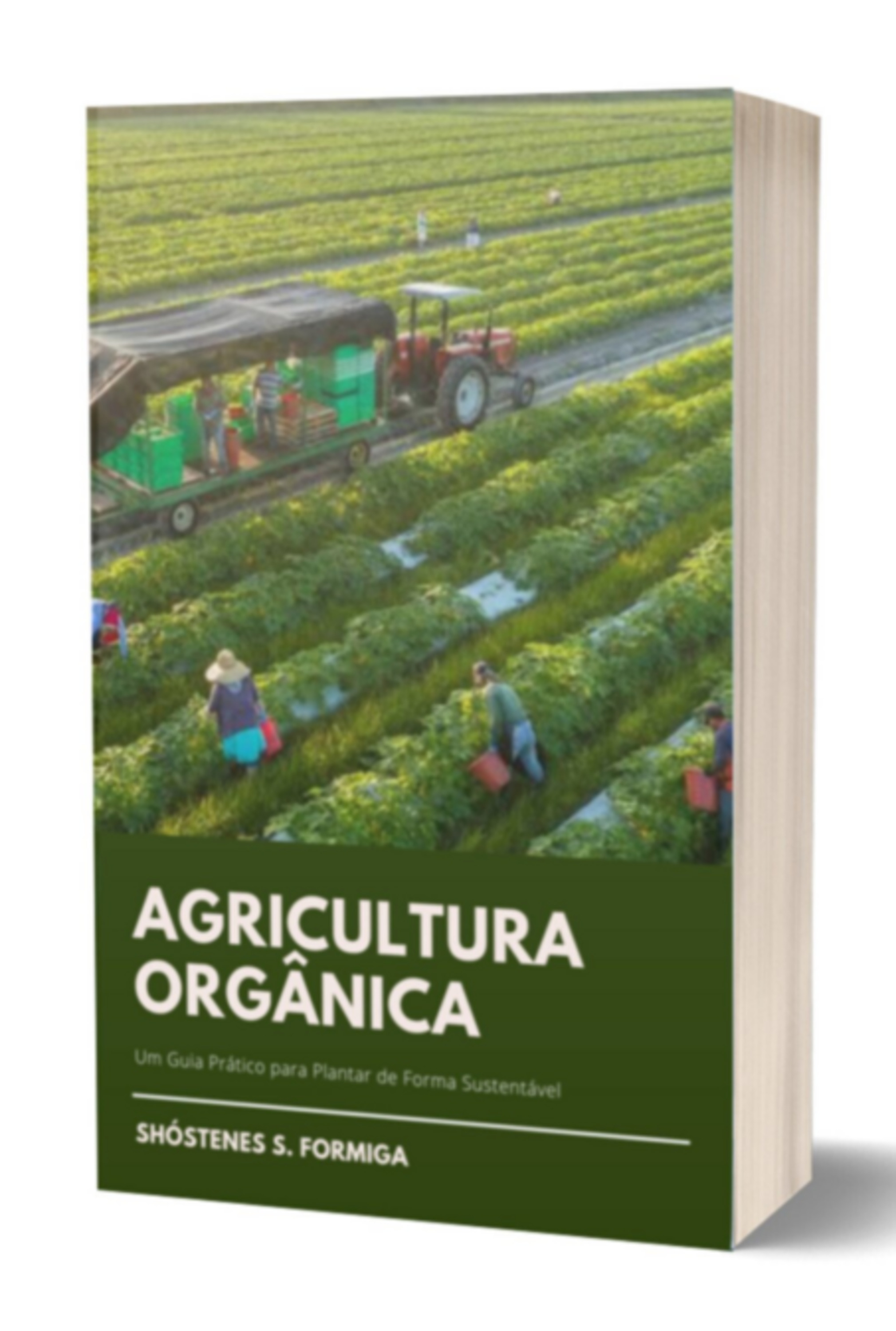 Agricultura Orgânica