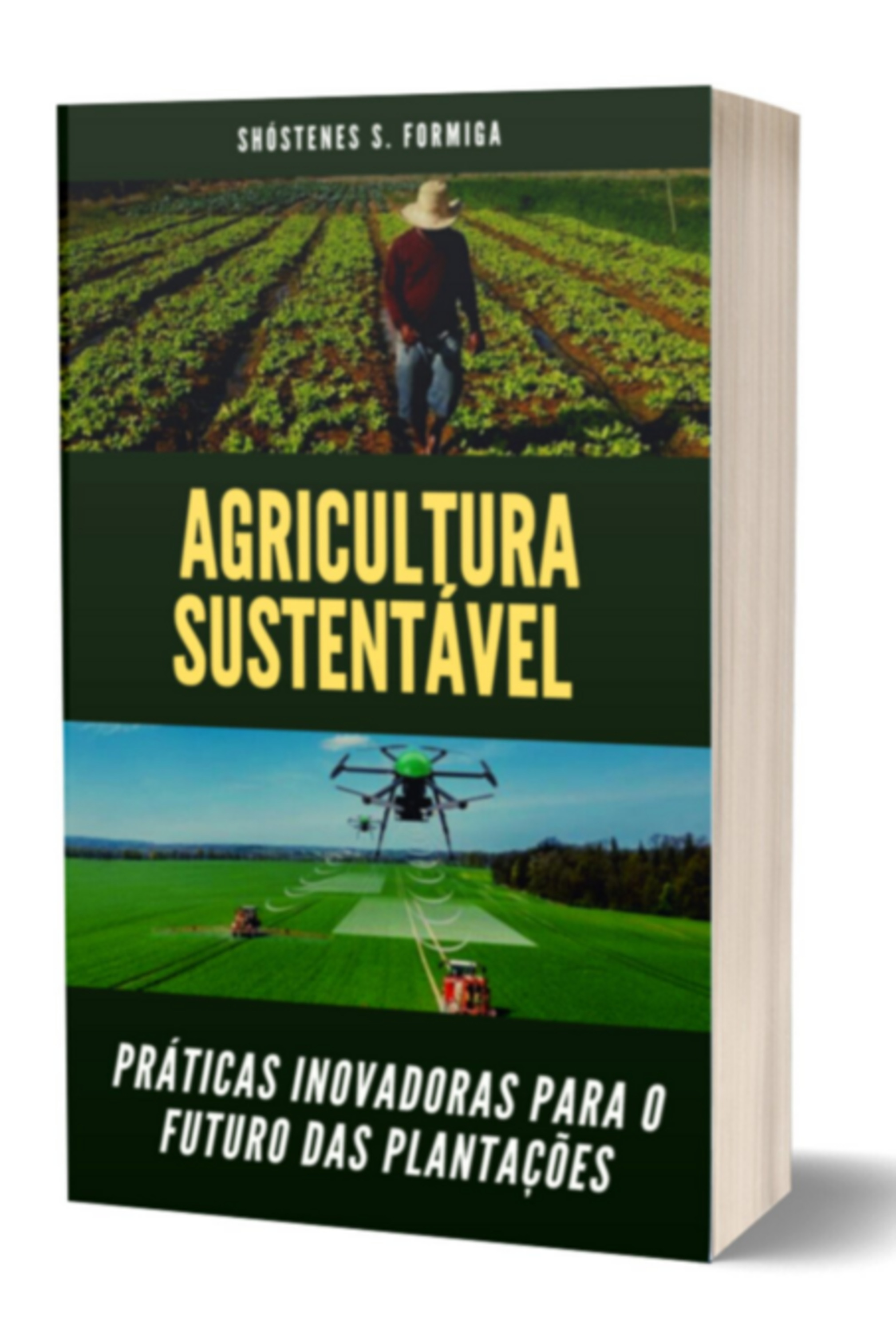 Agricultura Sustentável