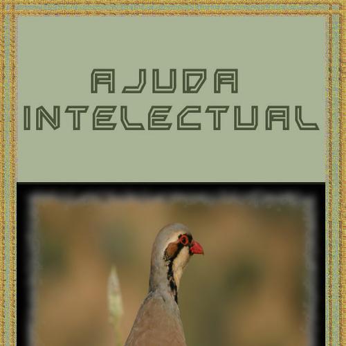 Ajuda Intelectual