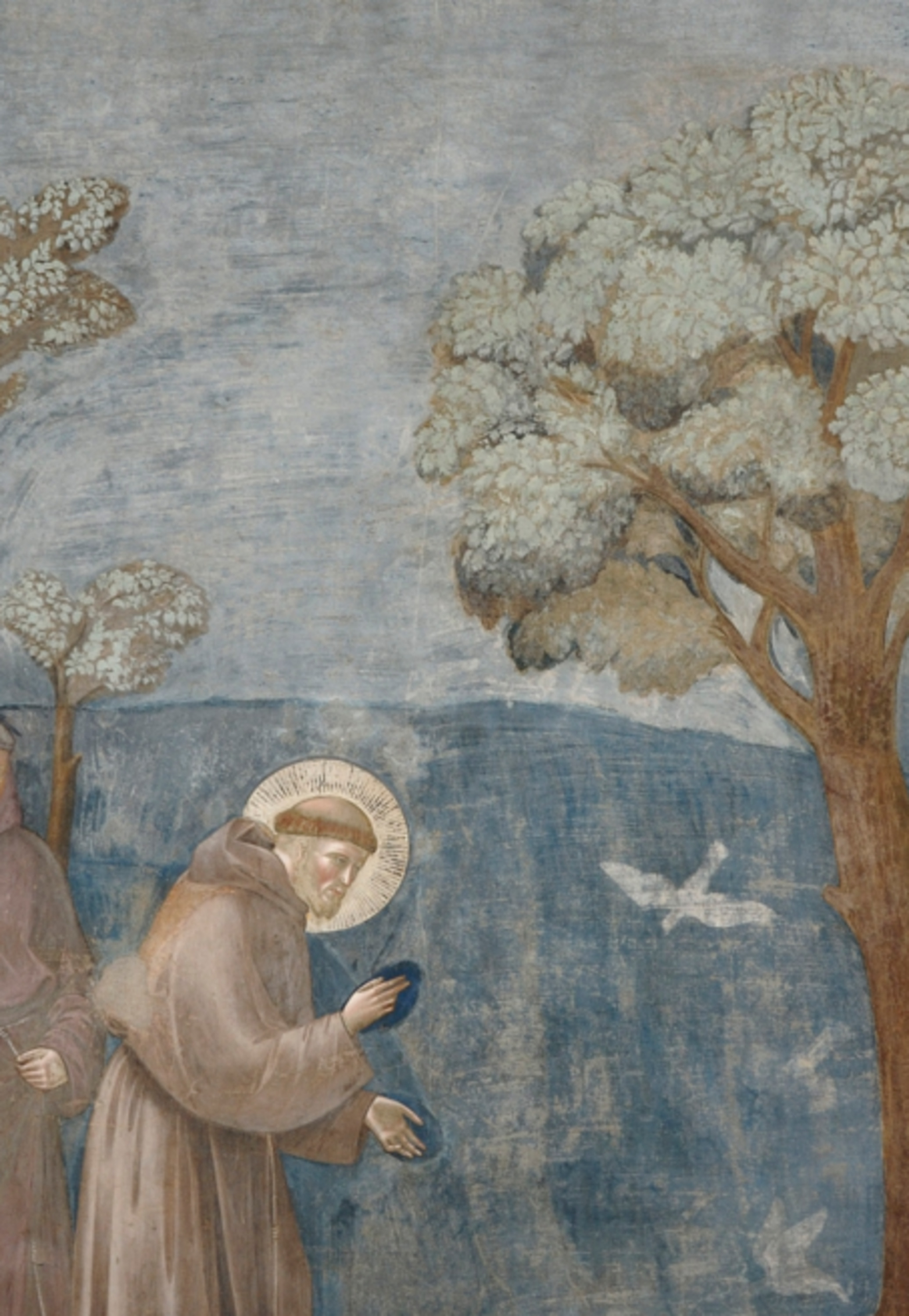 Alegria E Pobreza Nas Representações Sanfranciscanas De Dante E Giotto