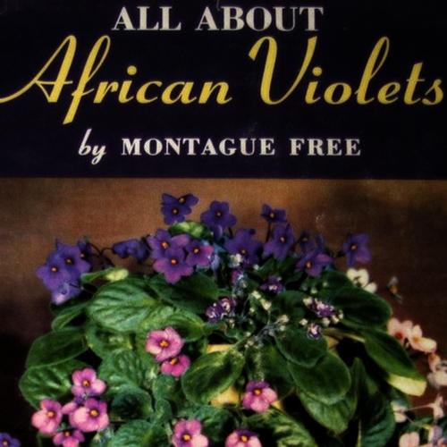 All About African Violets: The Complete Guide to Success With Saintpaulias