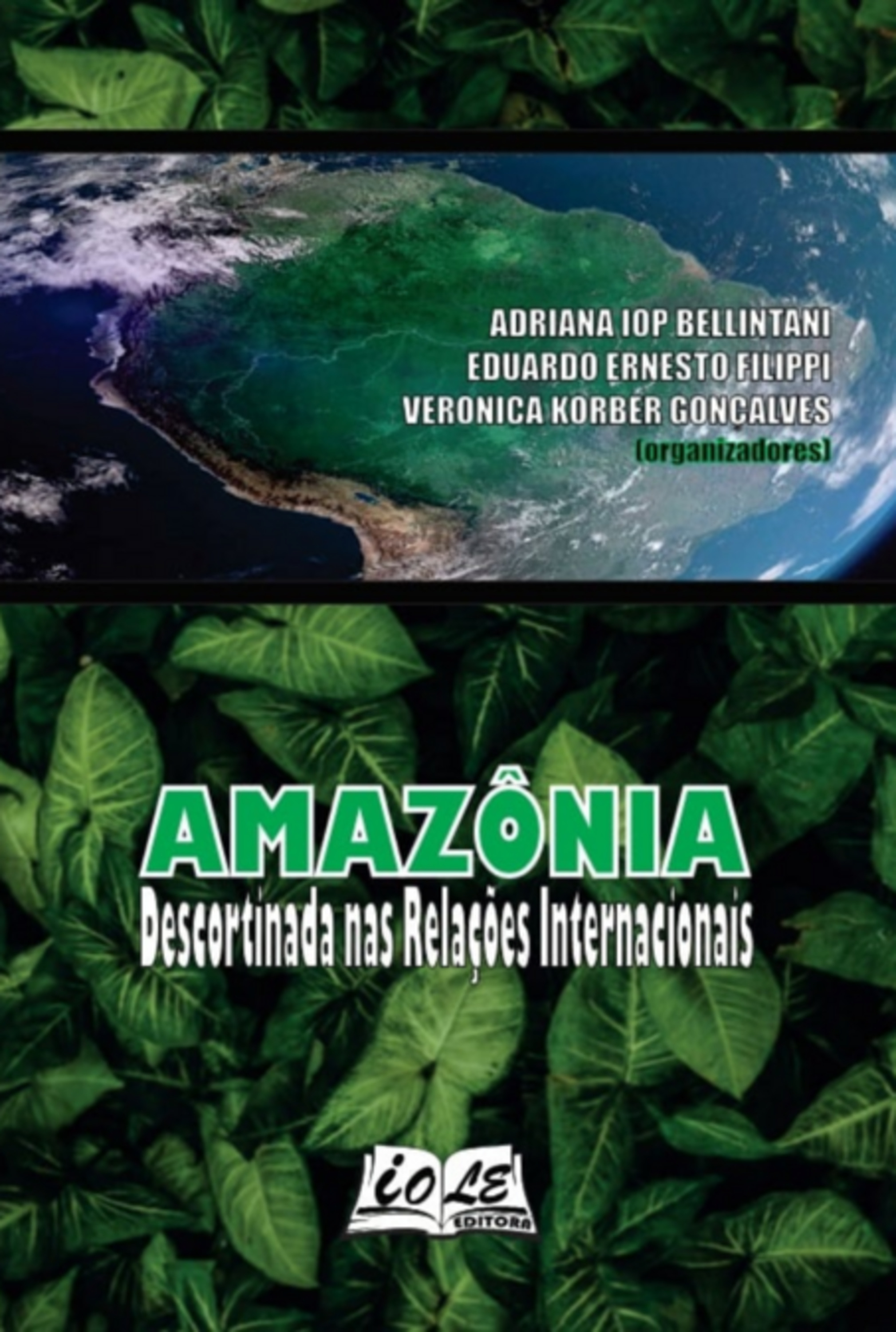 Amazônia: Descortinada Nas Relações Internacionais