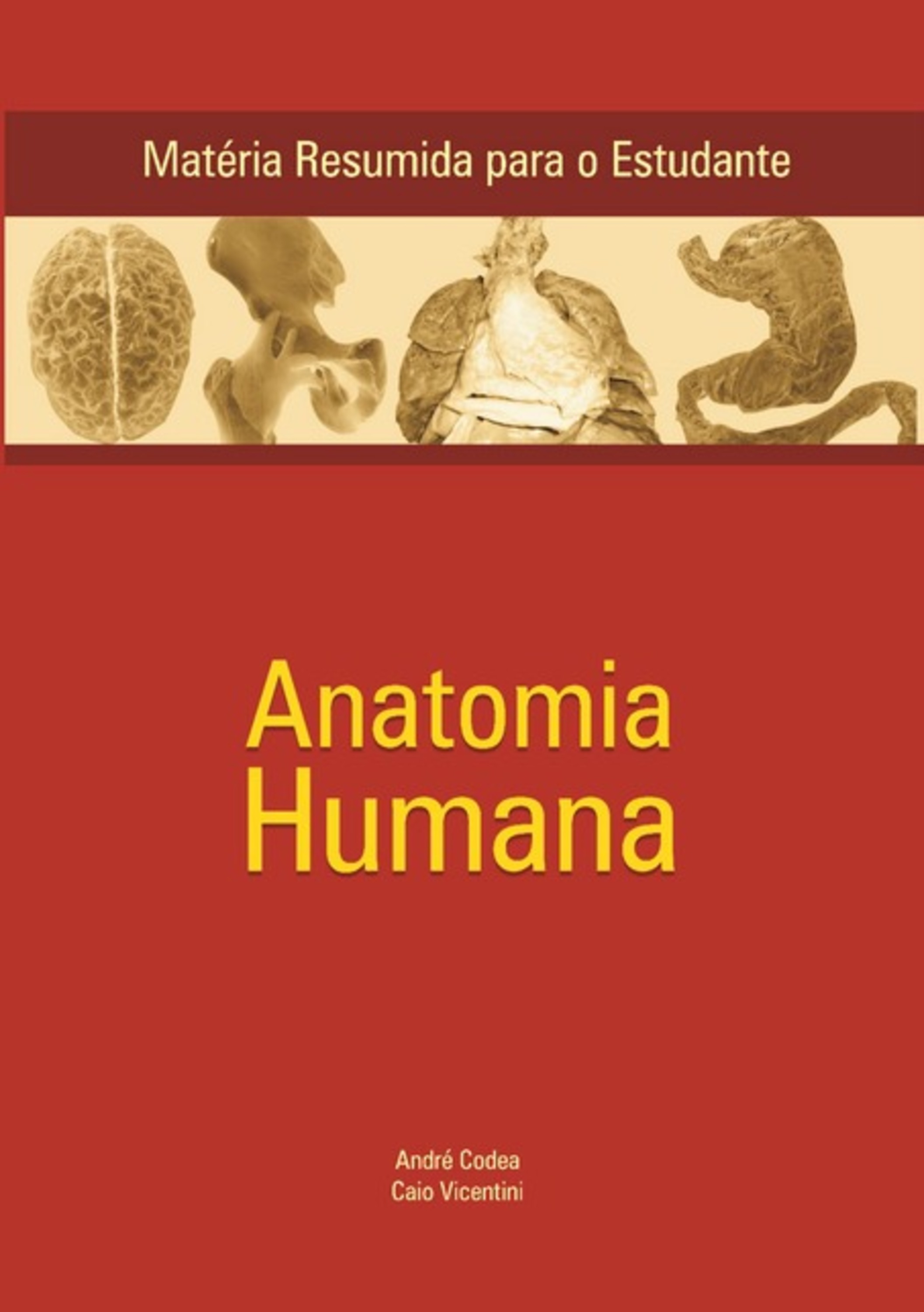 Anatomia Humana