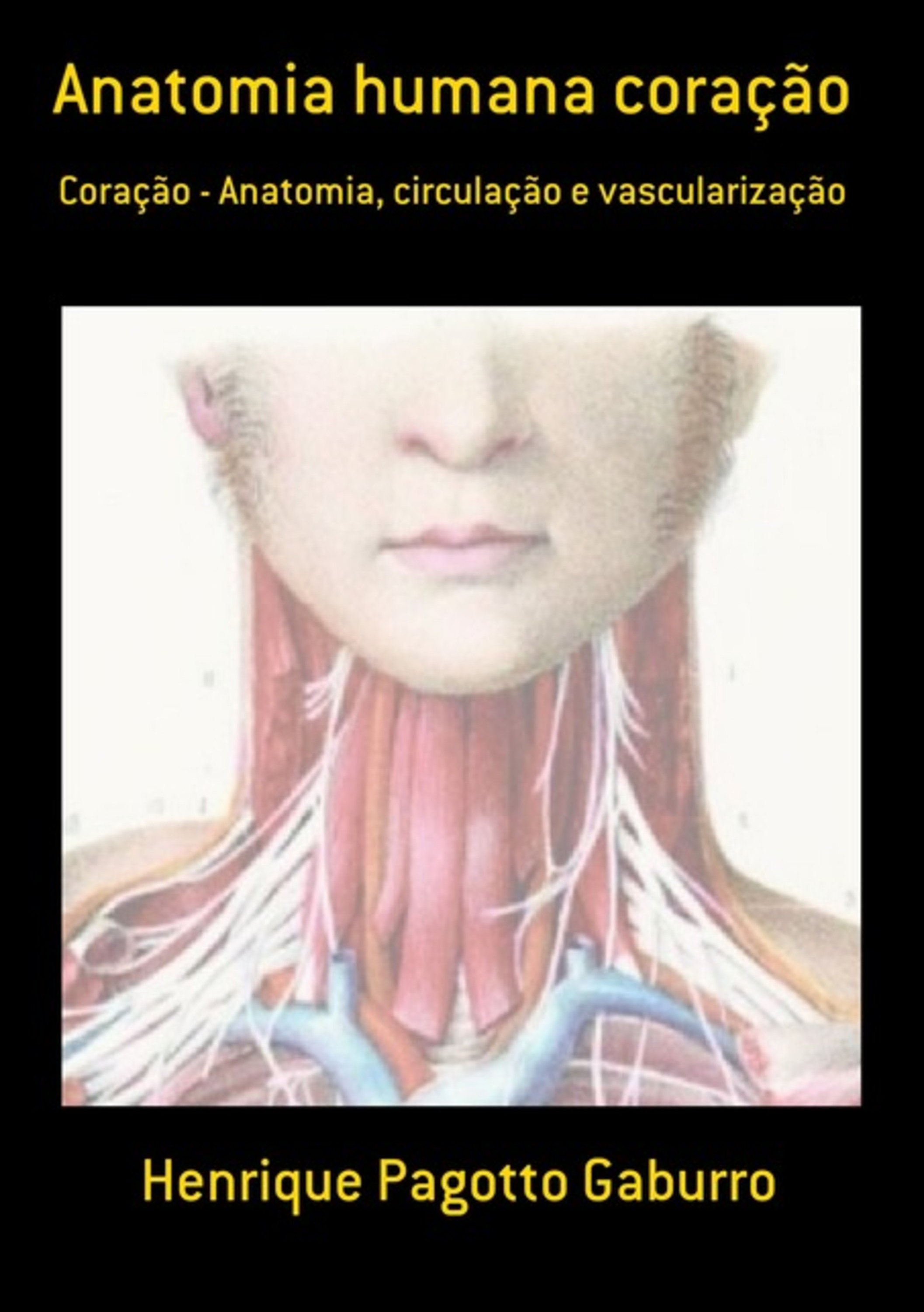 Anatomia Humana Coração