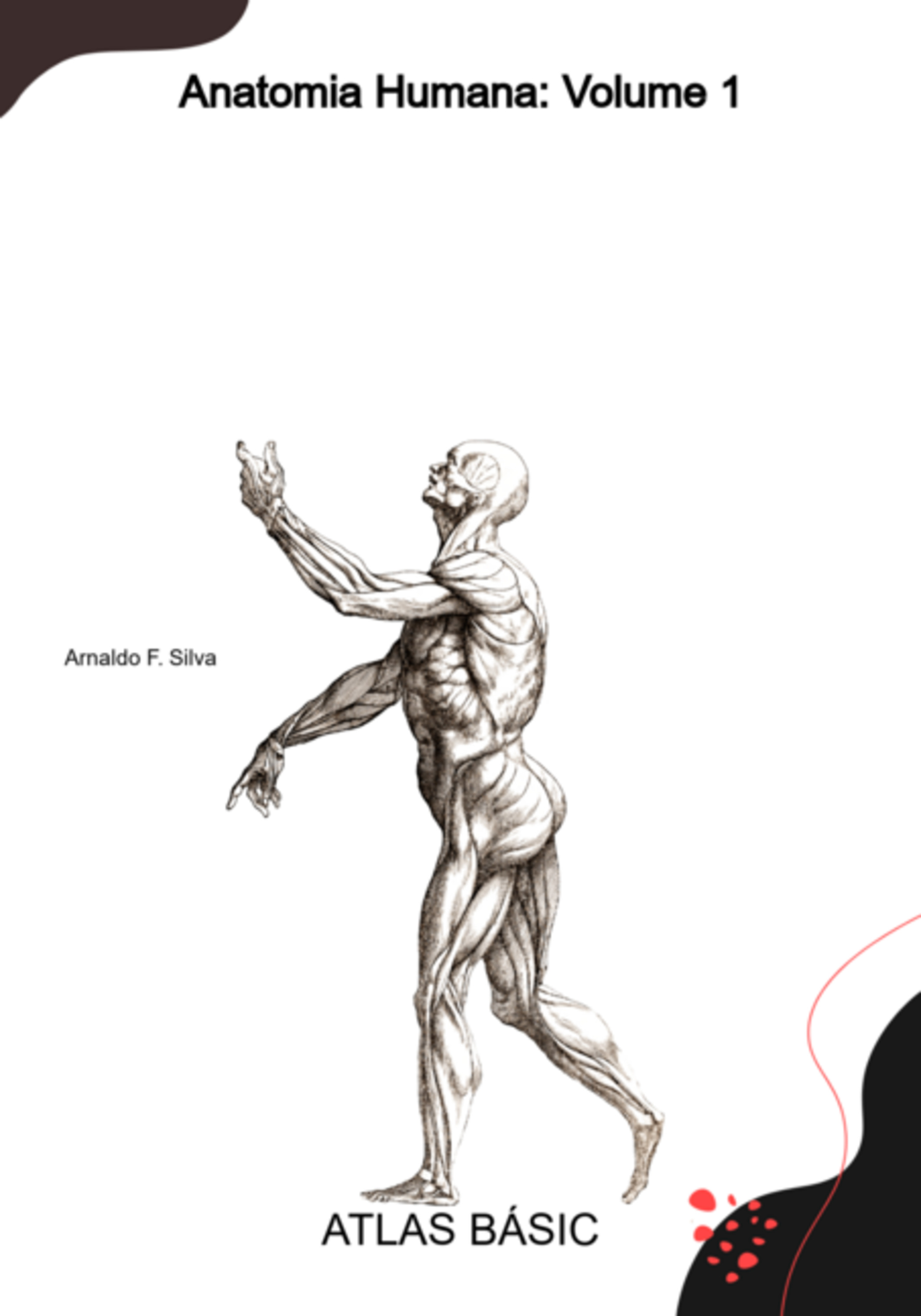 Anatomia Humana: Volume 1