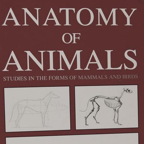 Anatomy of Animals: Studies in the Forms of Mammals and Birds