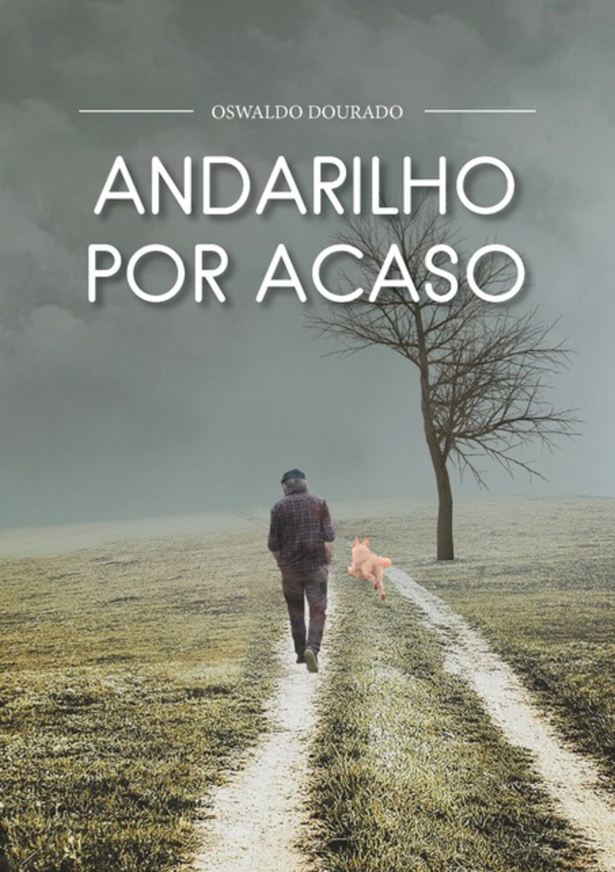 Andarilho Por Acaso