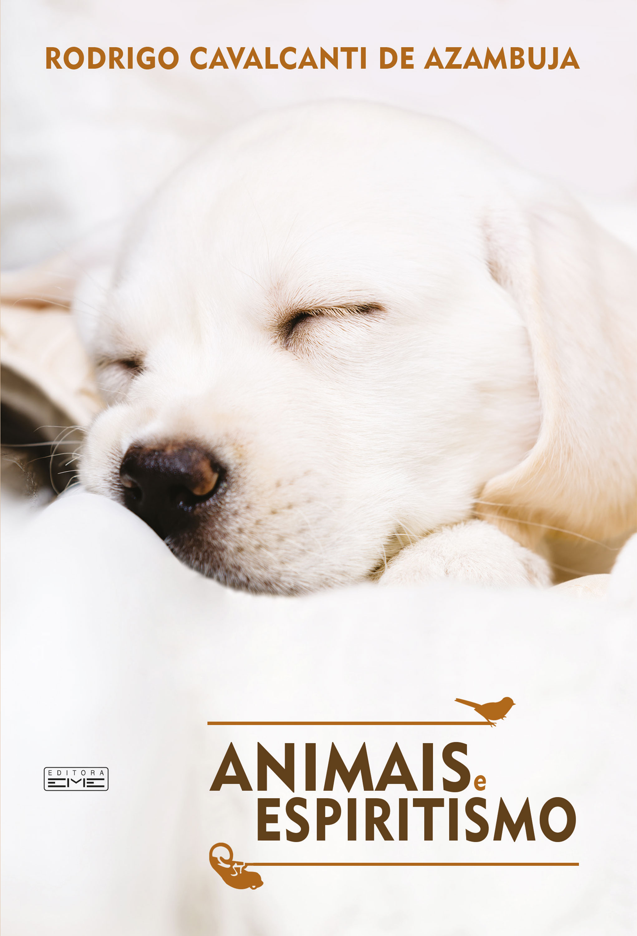 Animais e espiritismo