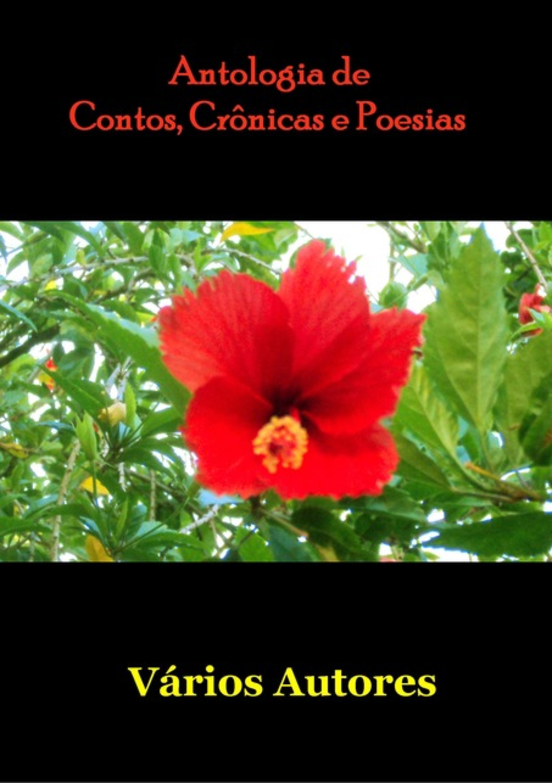 Antologia De Contos, Crônicas E Poesias