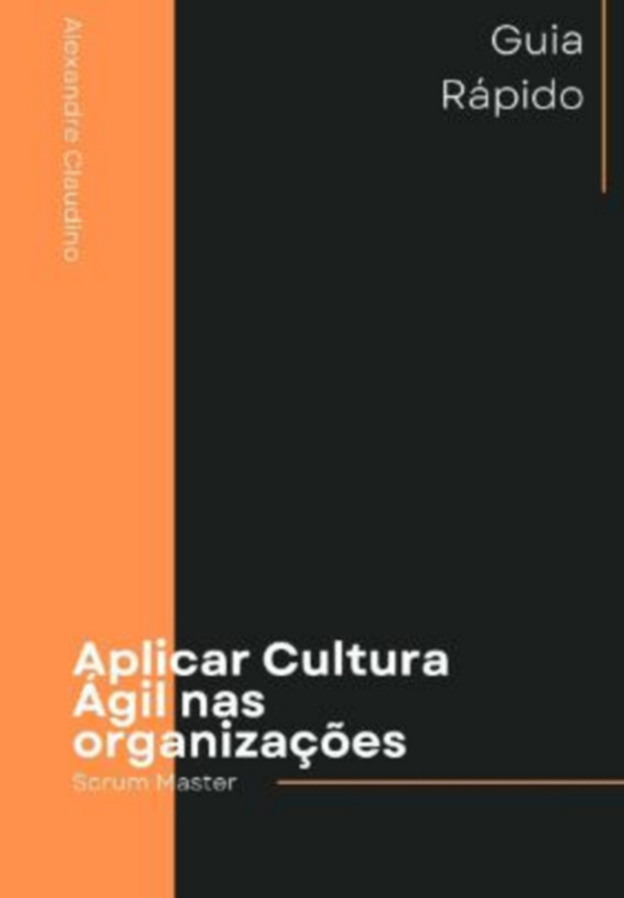 Aplicar Cultura Ágil Nas Organizações