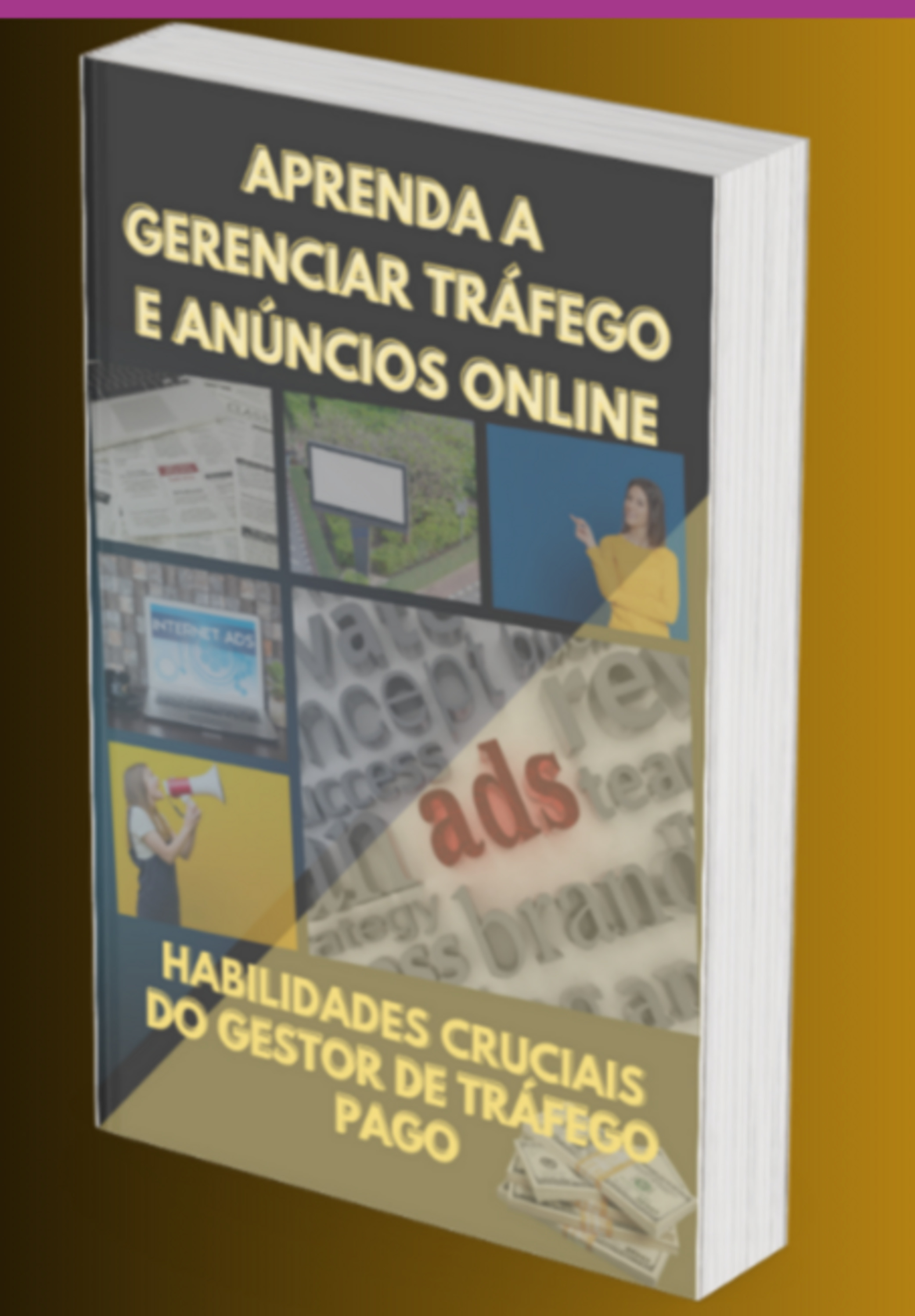 Aprenda A Gerenciar Tráfego E Anúncios Online