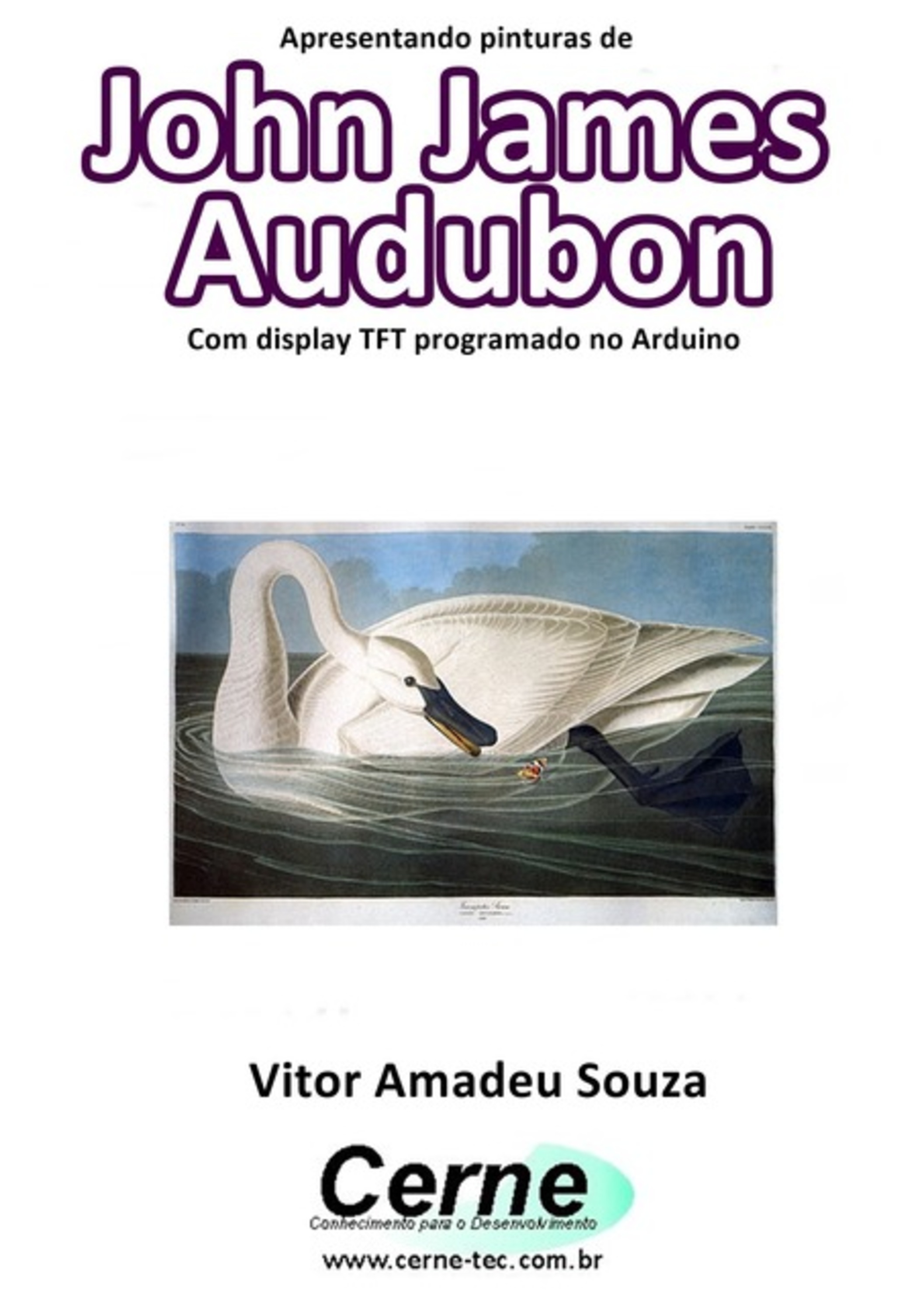 Apresentando Pinturas De John James Audubon Com Display Tft Programado No Arduino