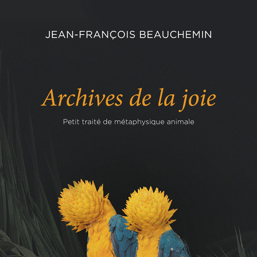 Archives de la joie