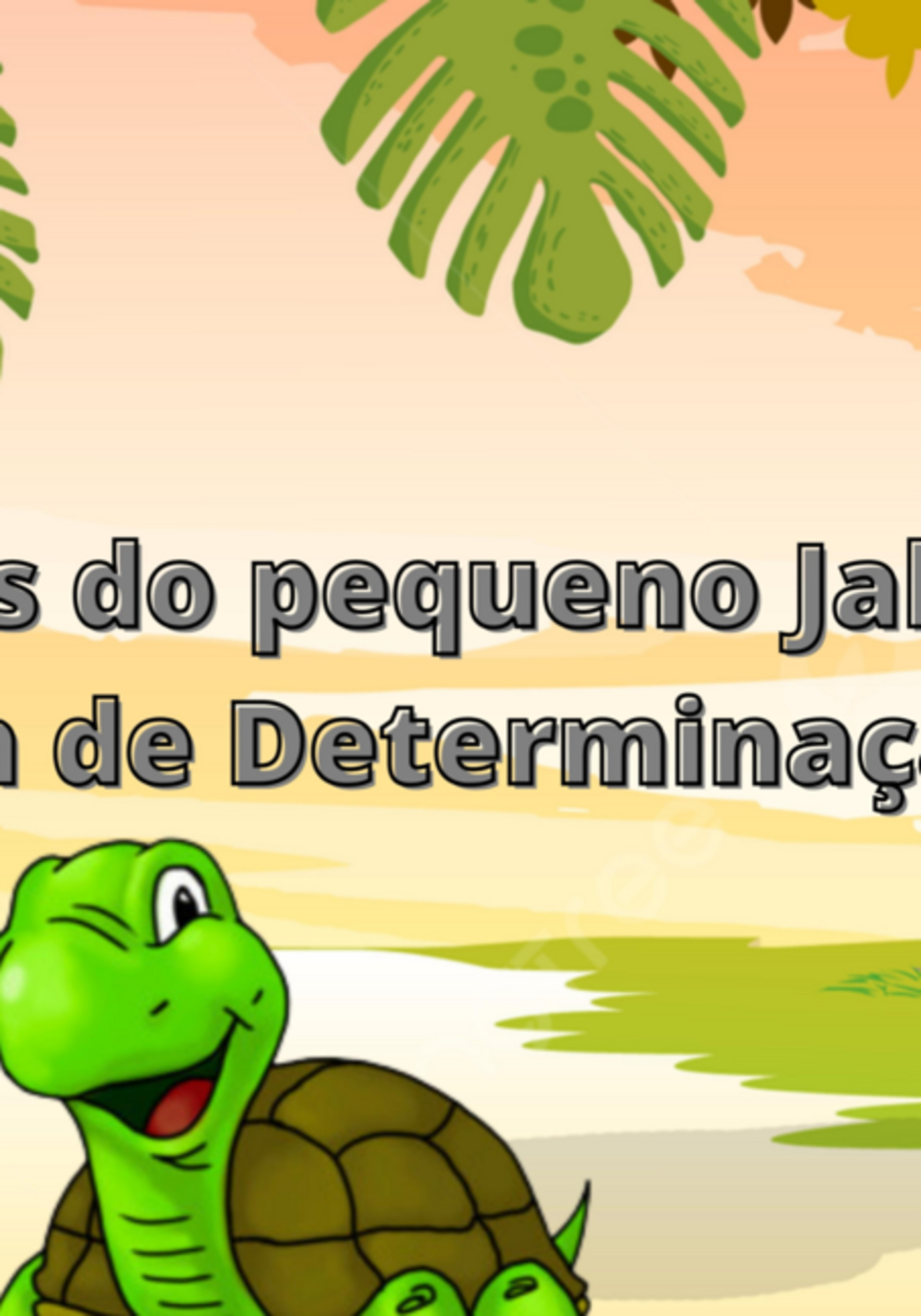 As Aventuras Do Pequeno Jabuti