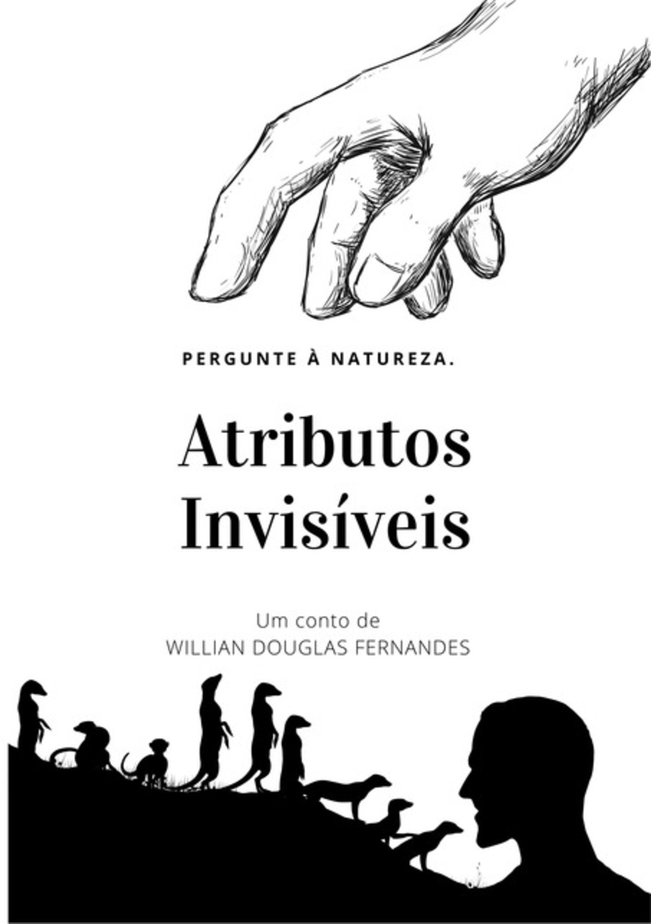 Atributos Invisíveis