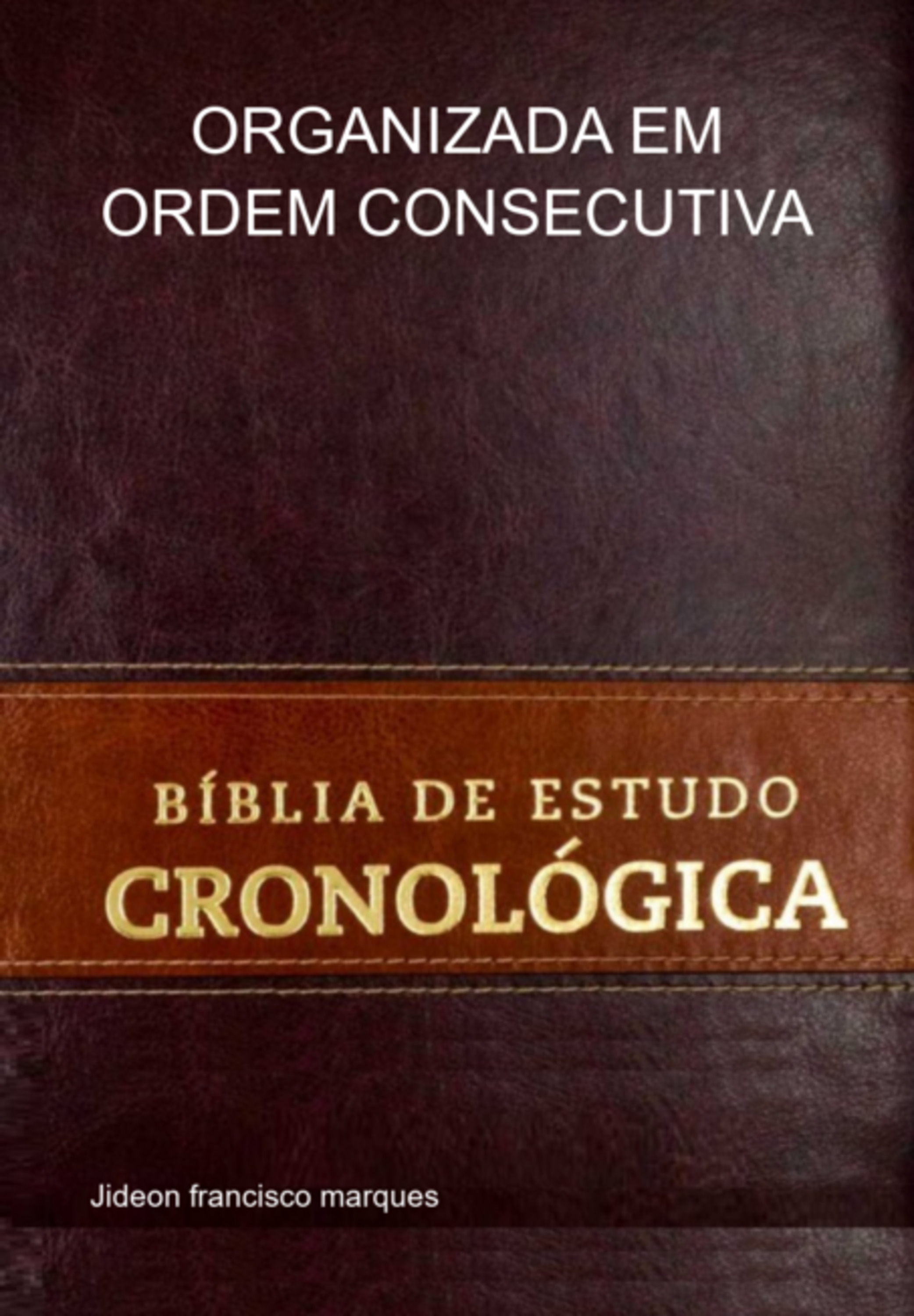 Bíblia De Estudo Cronológica