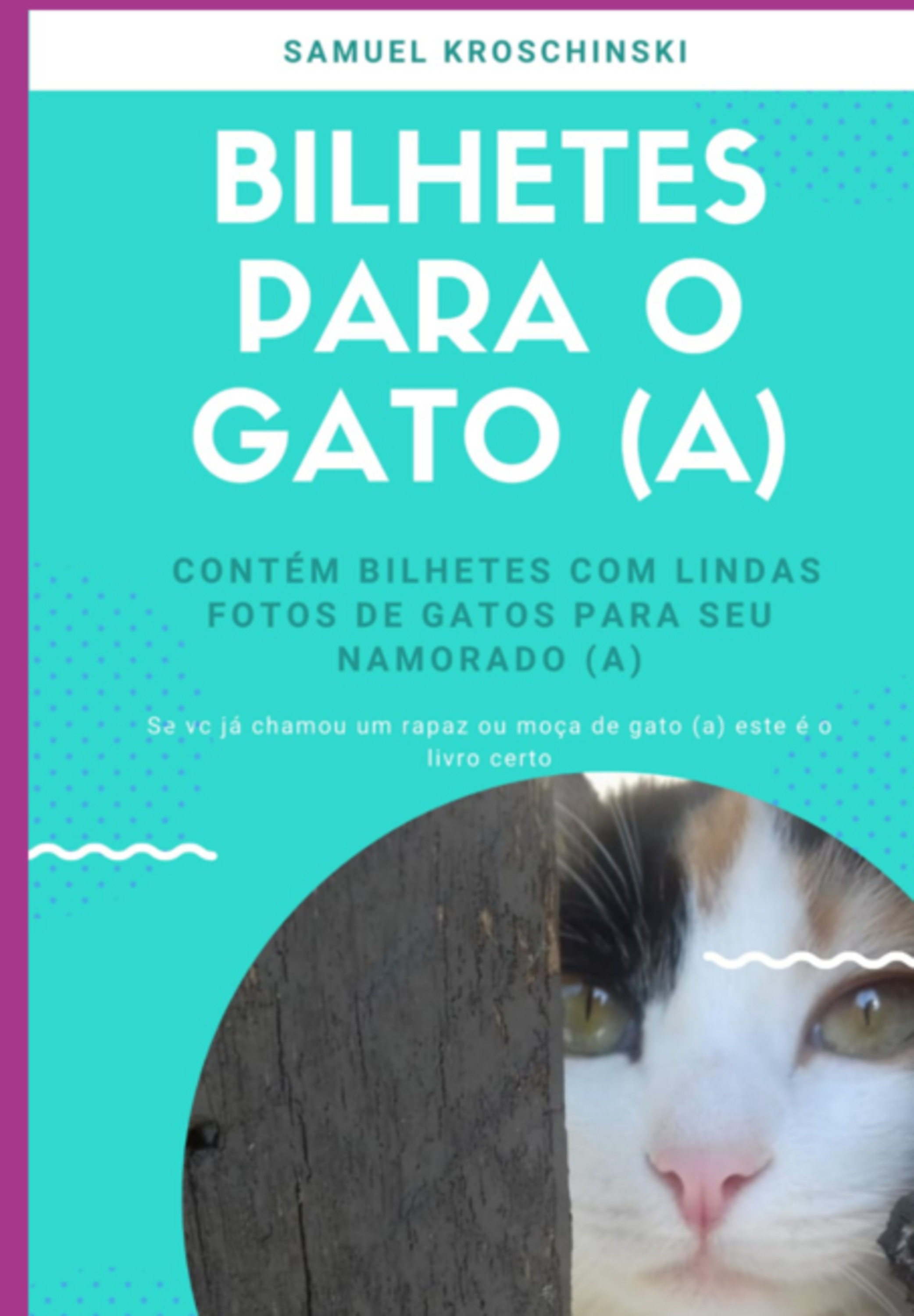 Bilhetes Para O Gato ( A )